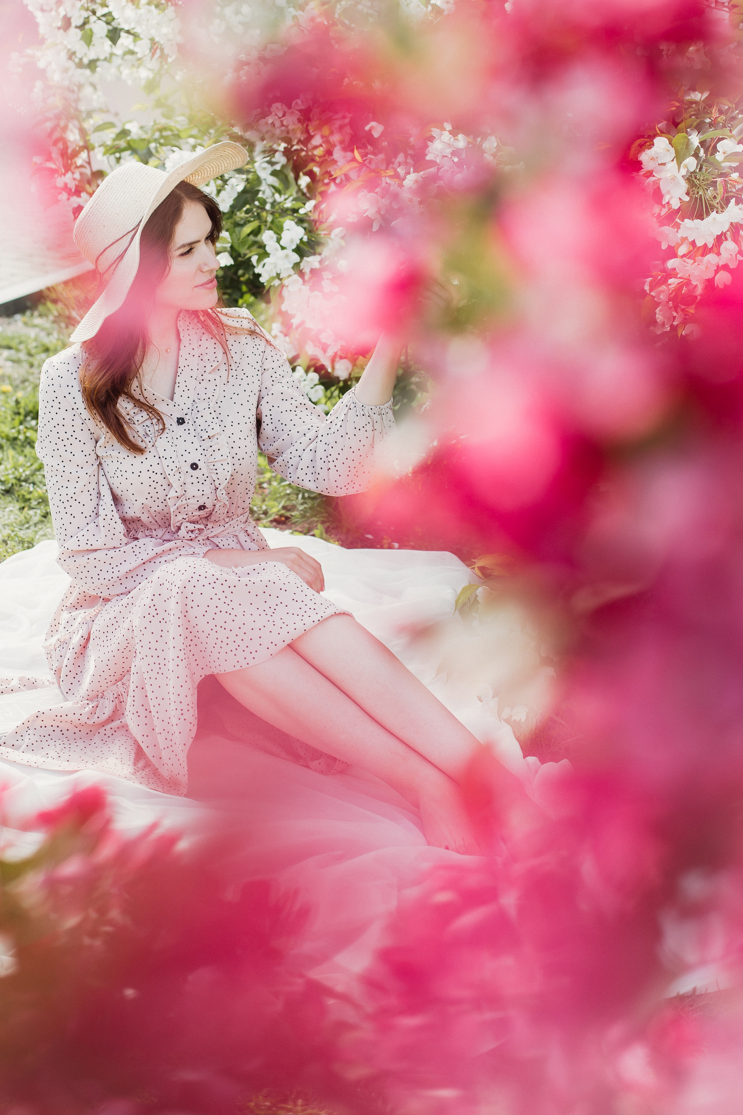 Яблони в цвету