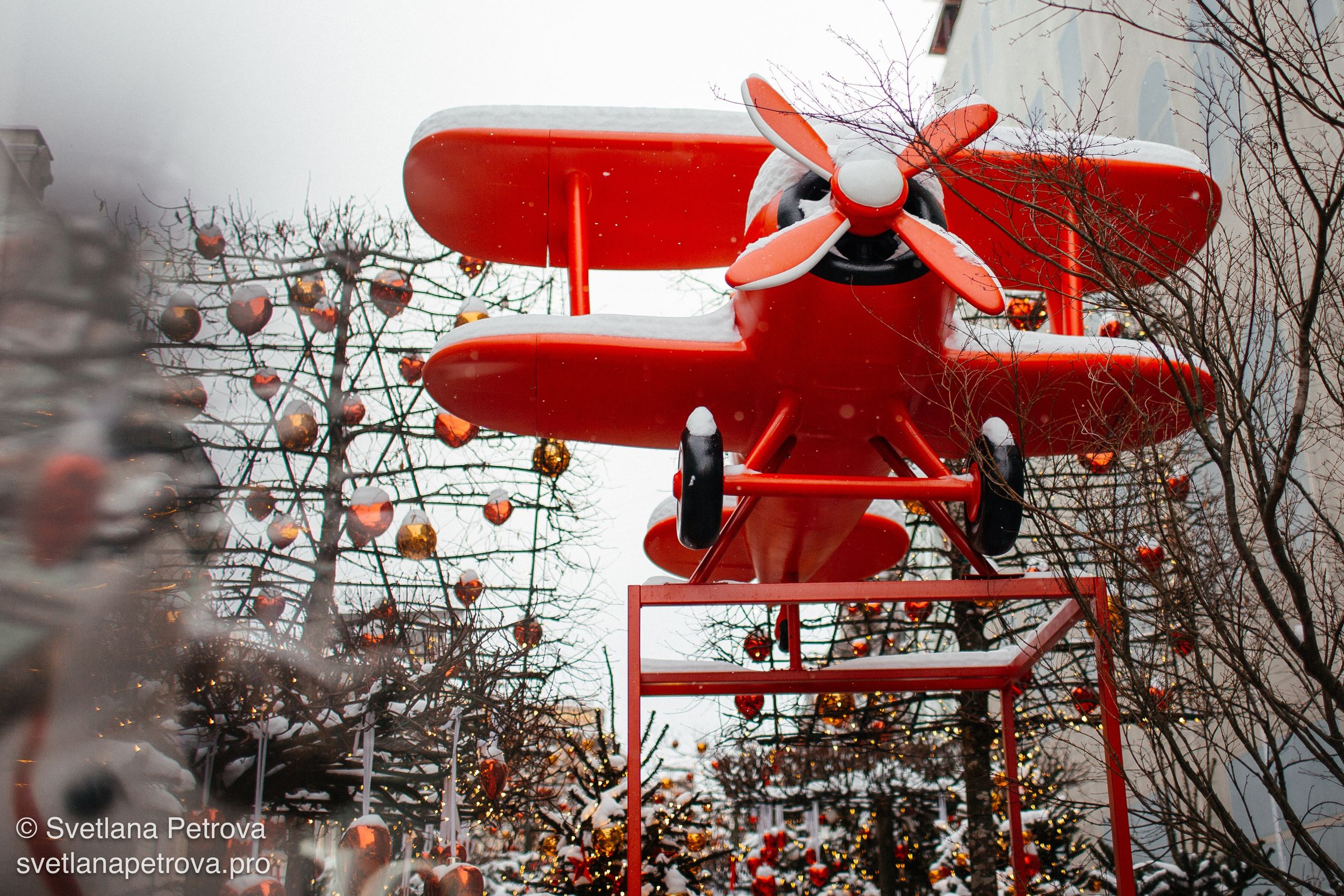 С Новым 2026 годом!. Фотограф Светлана Петрова