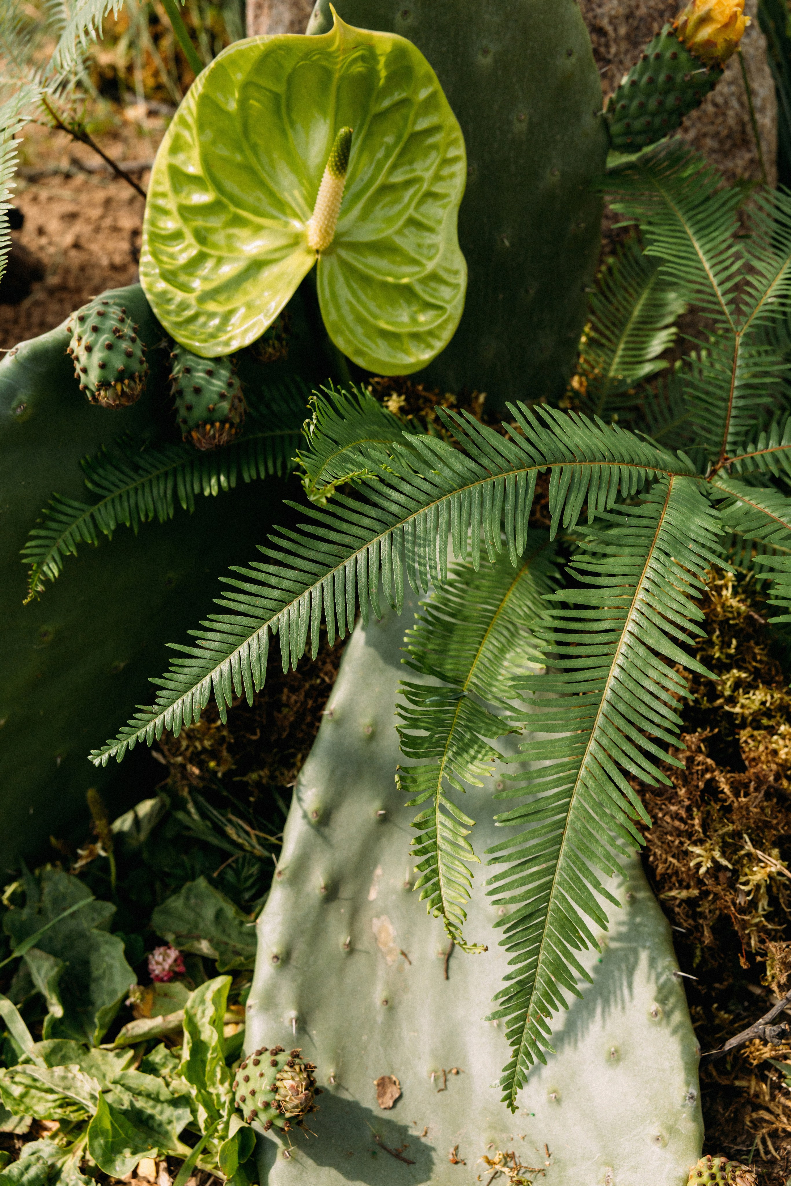 @avtors.agency. Свадебный и репортажный фотограф в Москве Владимир Сергеев | Naysaikolo