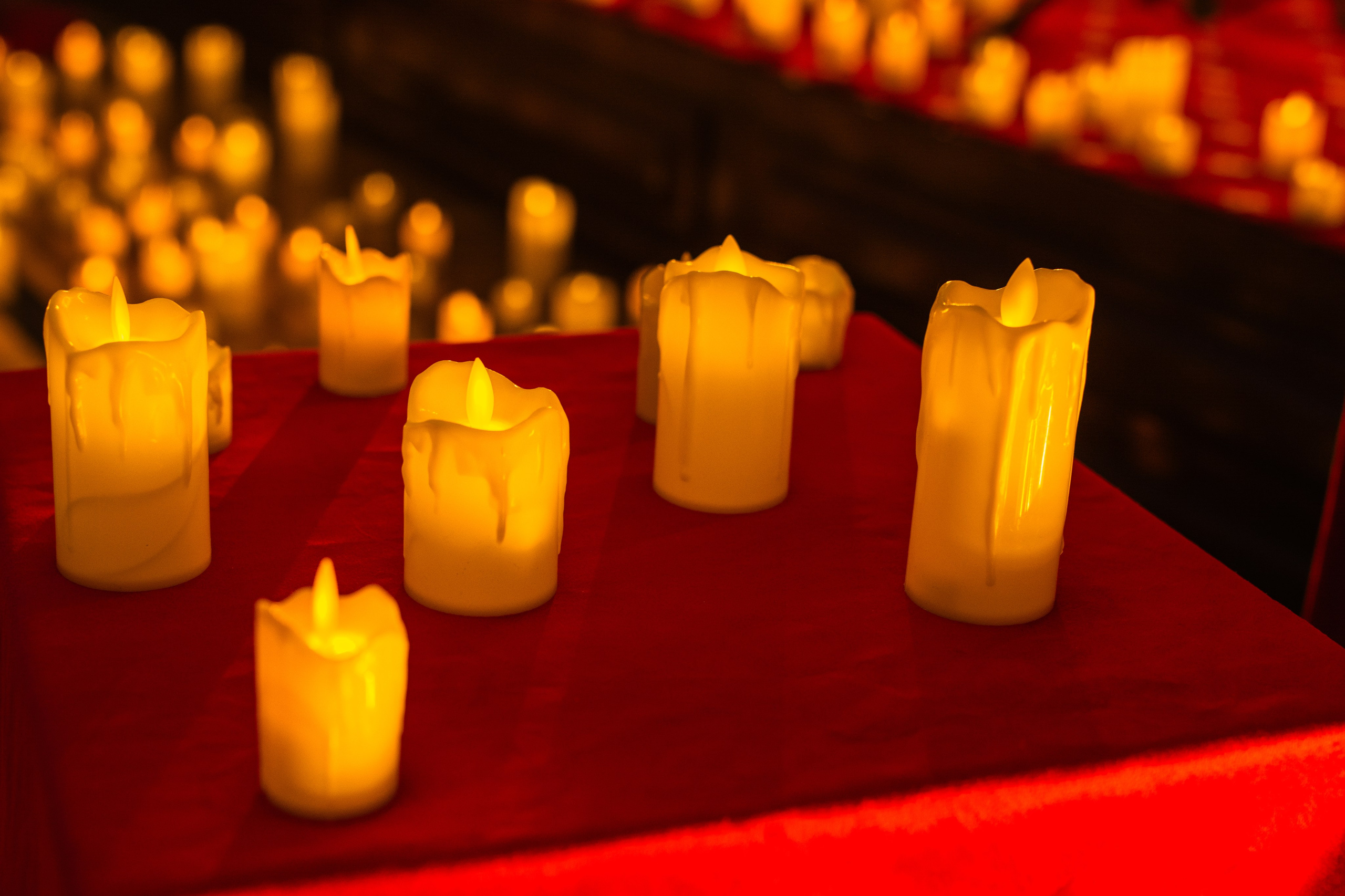 Благотворительный концерт «Твори Добро». Фотограф в Москве Ангелина Ким