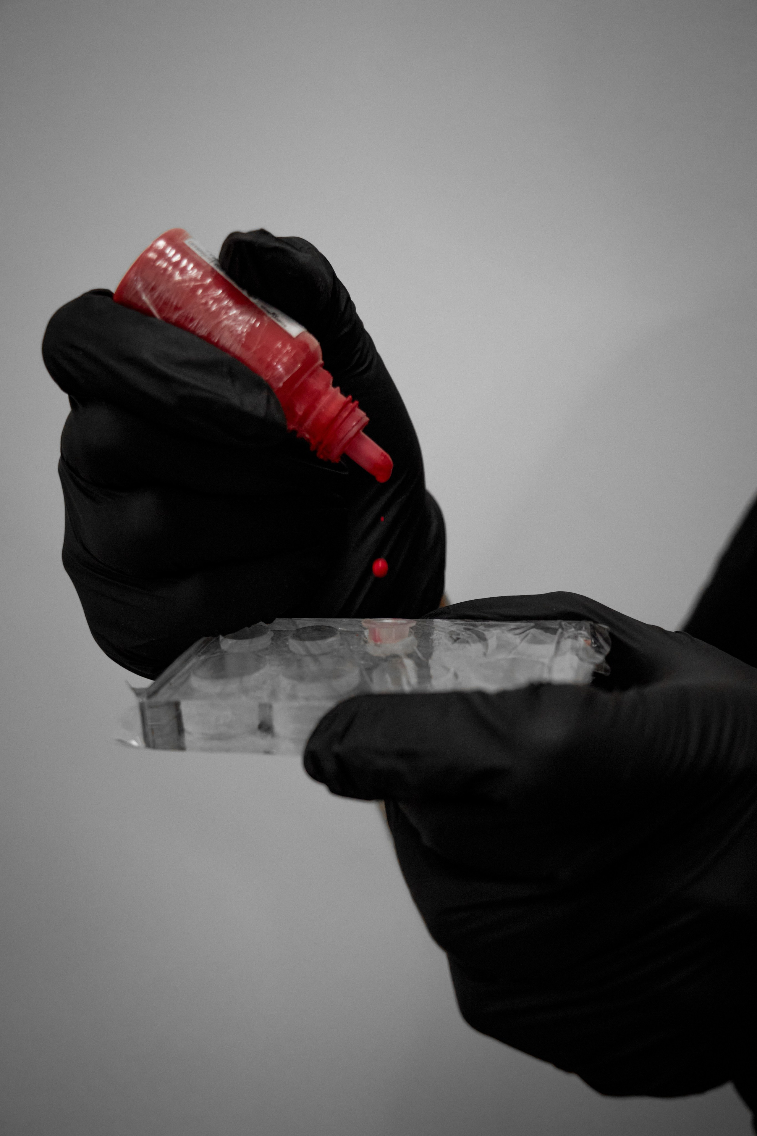 Для мастера перманента. Фотограф Стилист Тюмень Вера Хайруллина