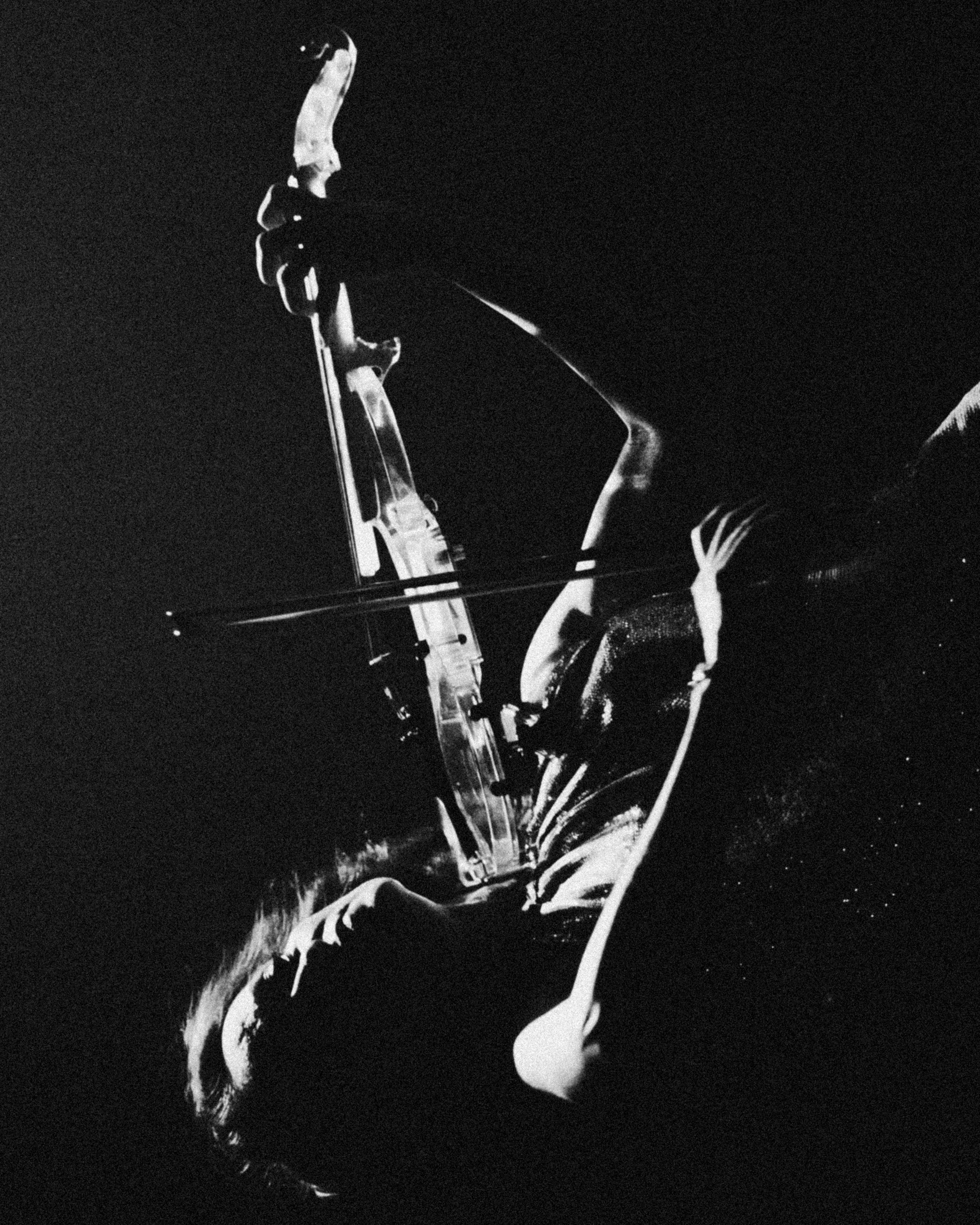 WASAFE 2025 by @alexandradmitrievaph. Свадебный фотограф @alexandradmitrievaph