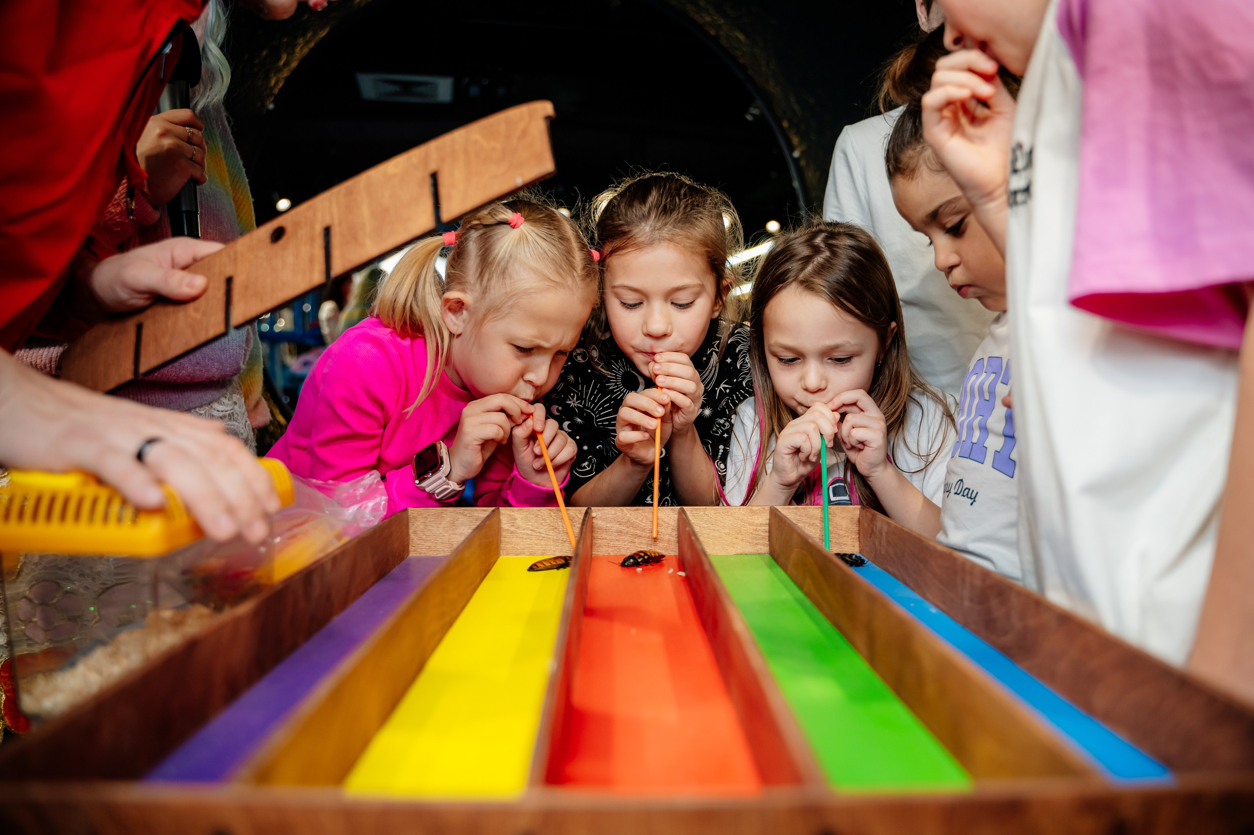 Детский день рождения. Свадебный и семейный фотограф в Сочи Никита Пищов