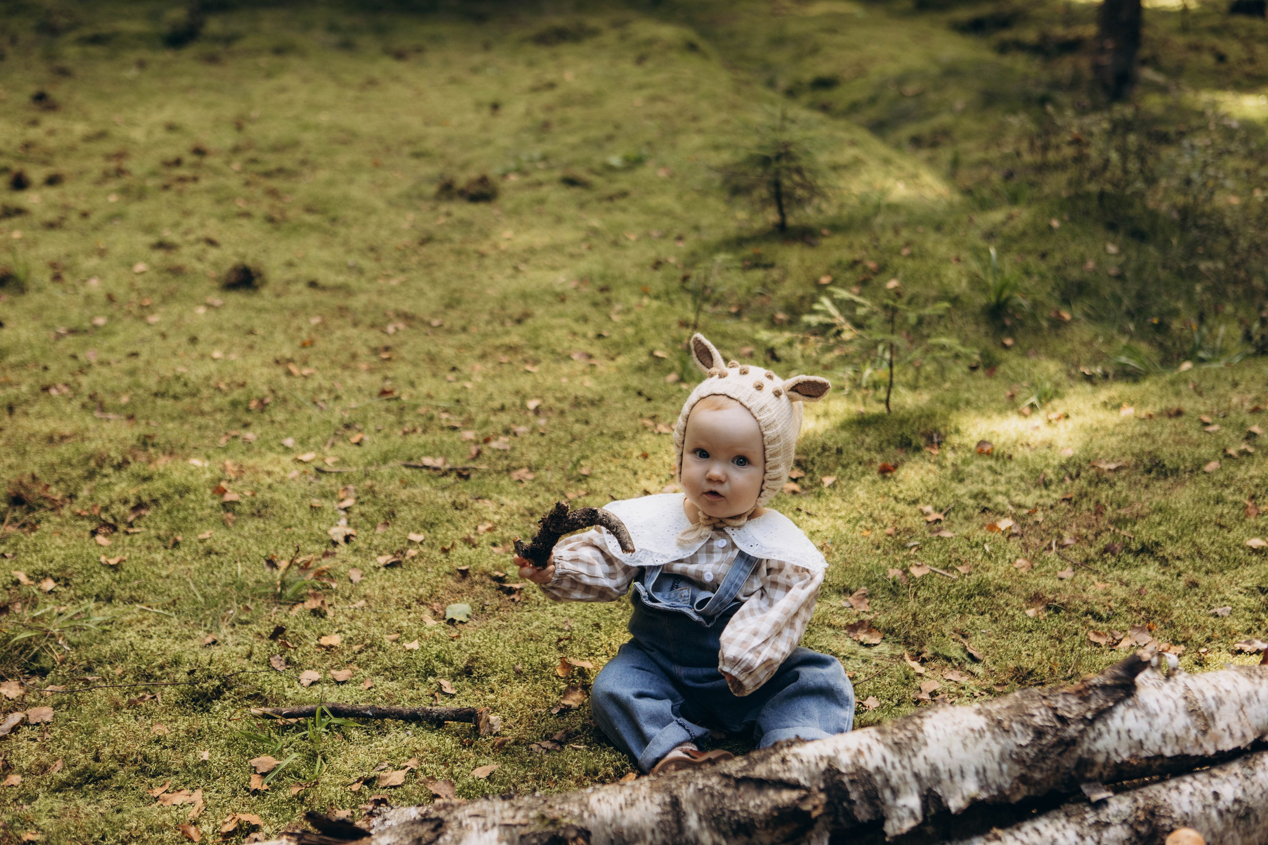 Лесная история. Наталья Косьянова. Ваш фотограф. Москва