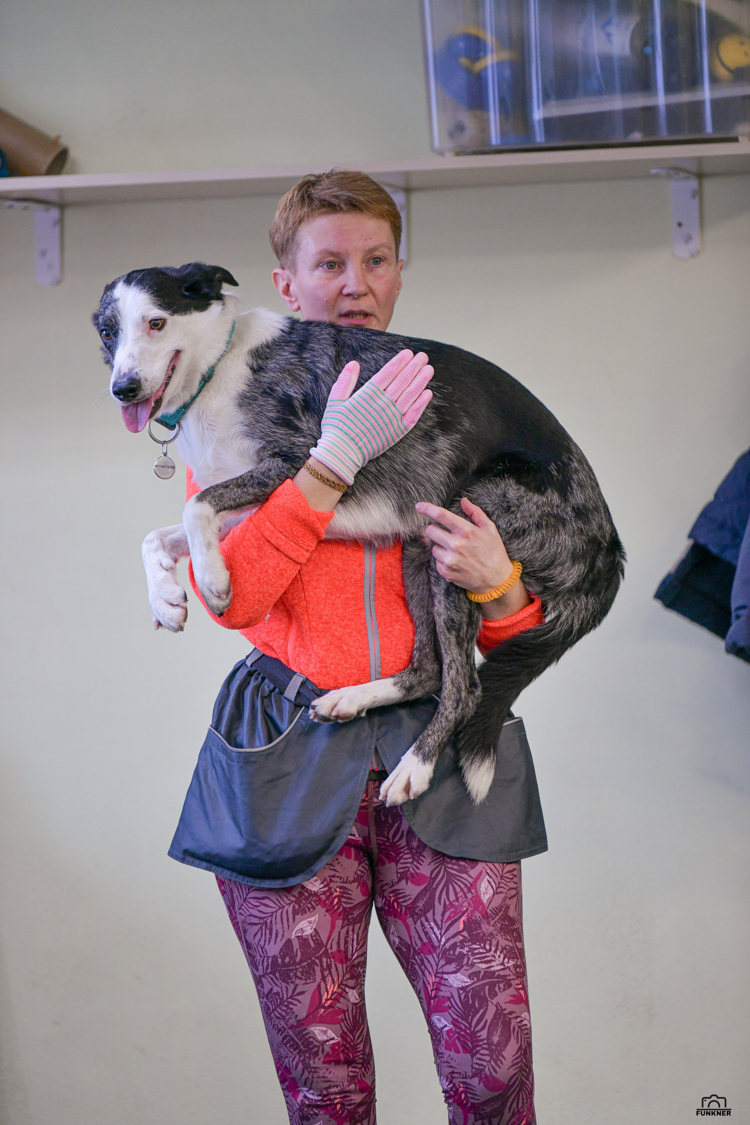 Кинологический клуб «Бодрый хвост». Свой взгляд через объектив