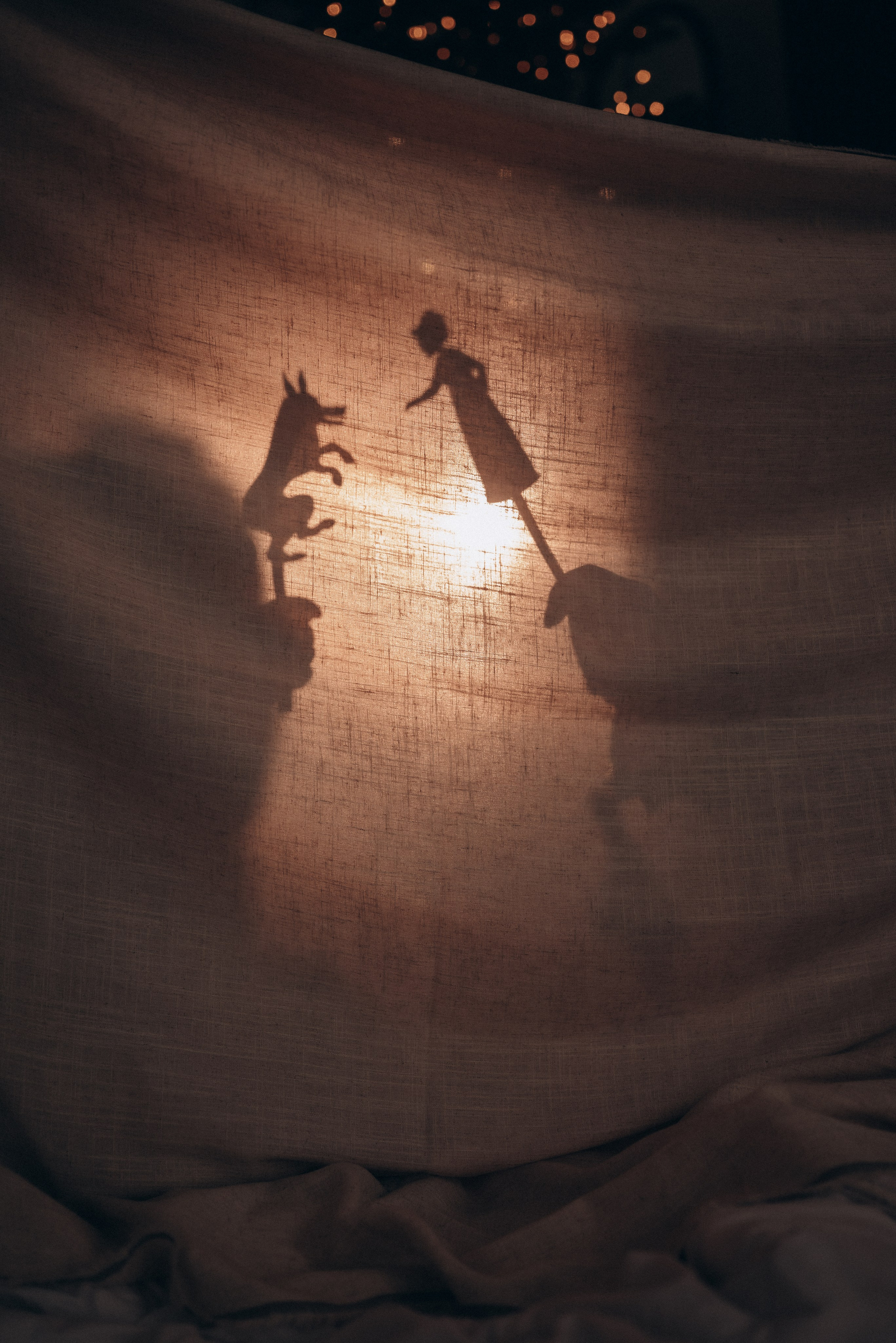 Ксения и Есения. Новогодняя. Семейный фотограф в Москве Дарья Пузикова