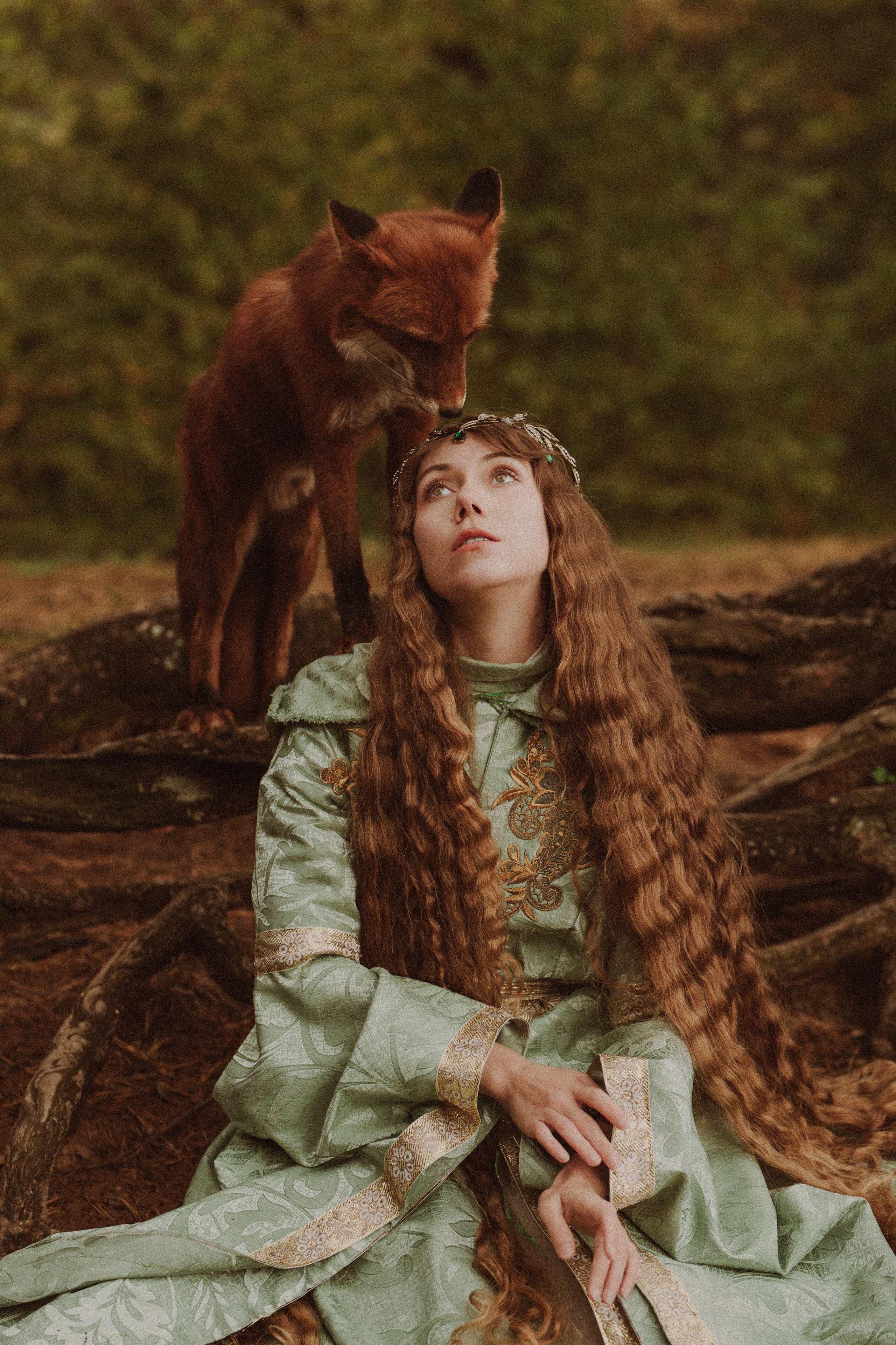 Шепот лиса. Ваш фотограф Tetiana Kolos, найду самый удачный ракурс и словлю момент