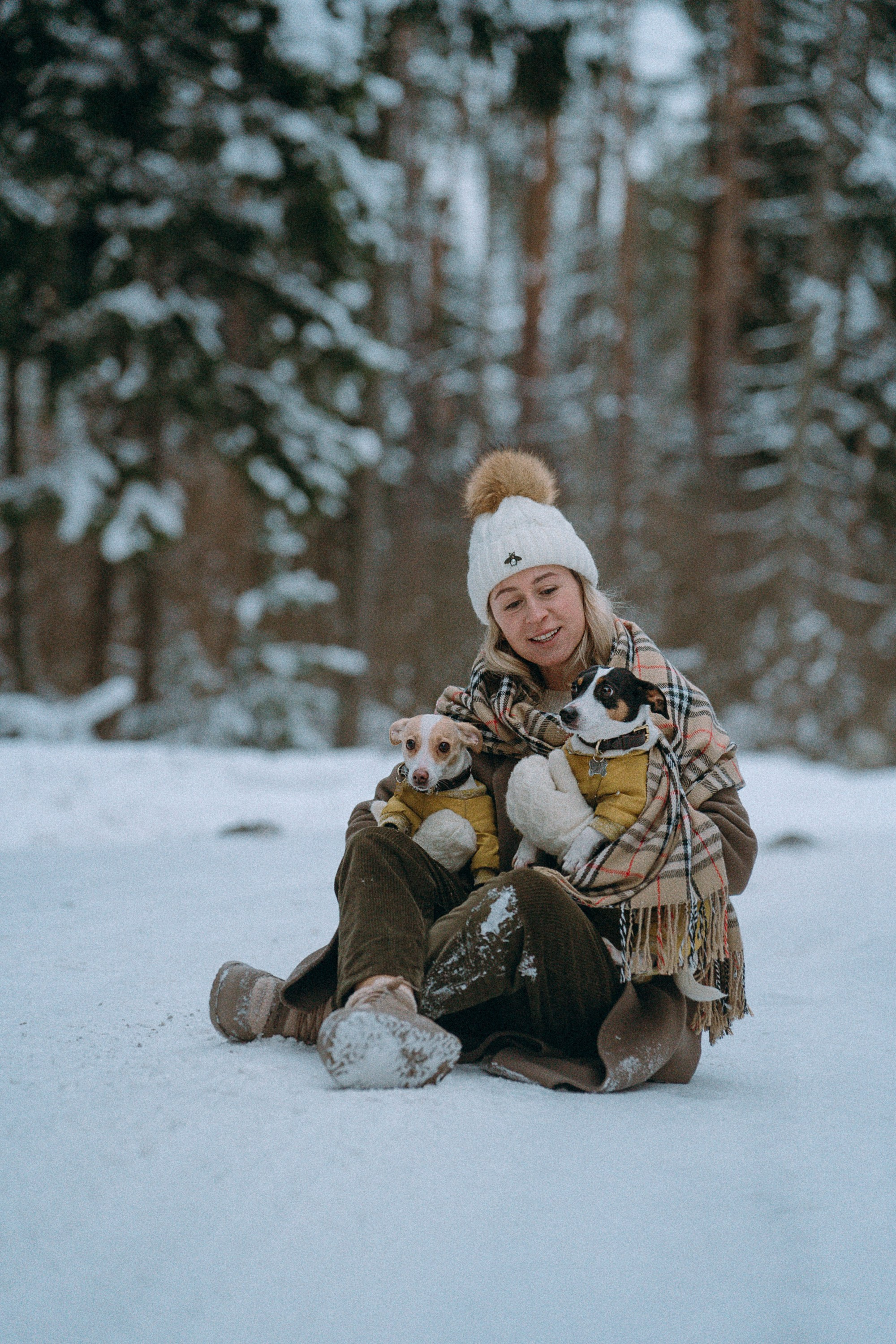 Алина, Ваниль и Элис. Фотограф анималист в Москве и Санкт-Петербурге Свиридова Анна