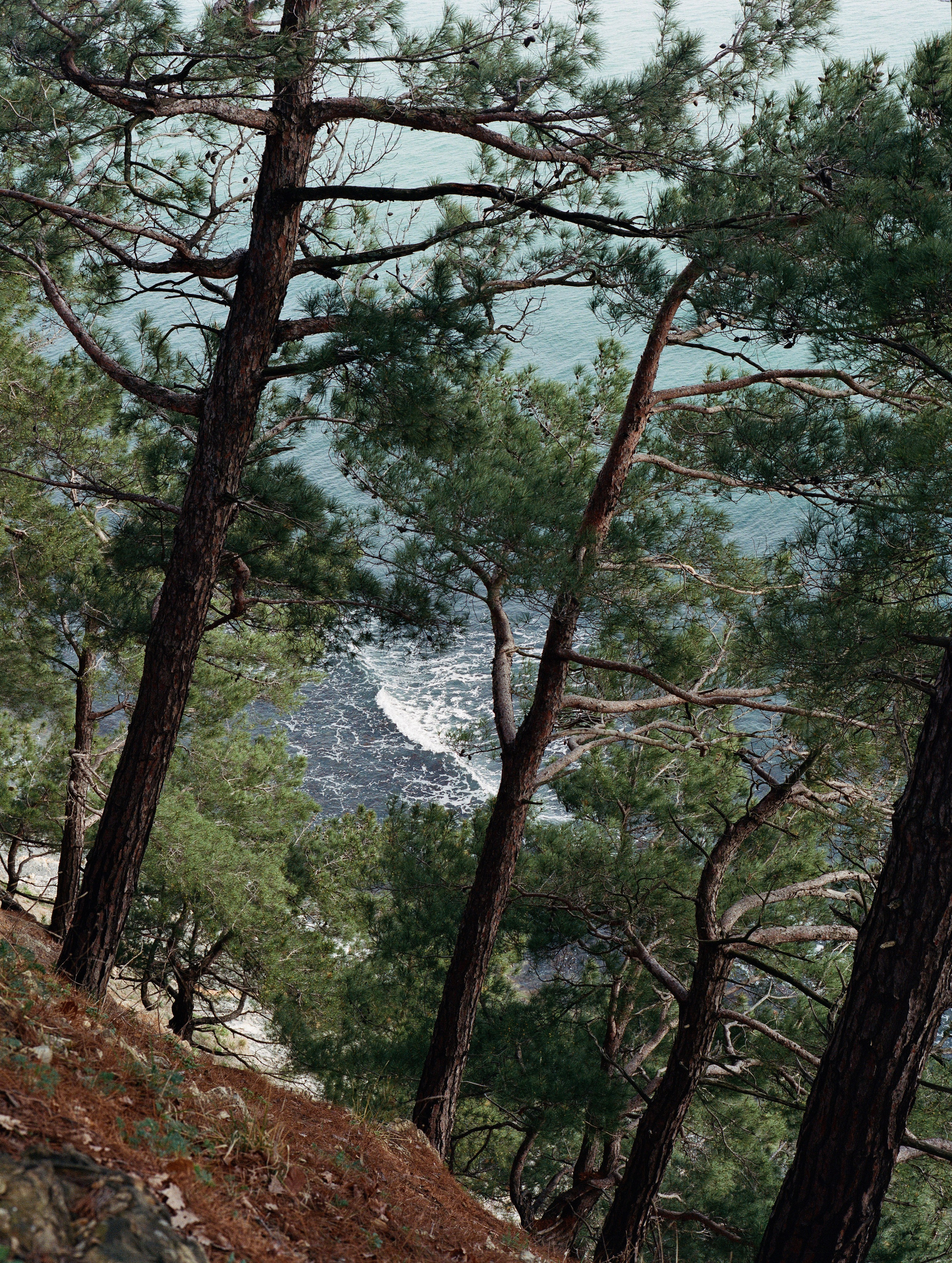 An Island Surrounded by Land. HOME