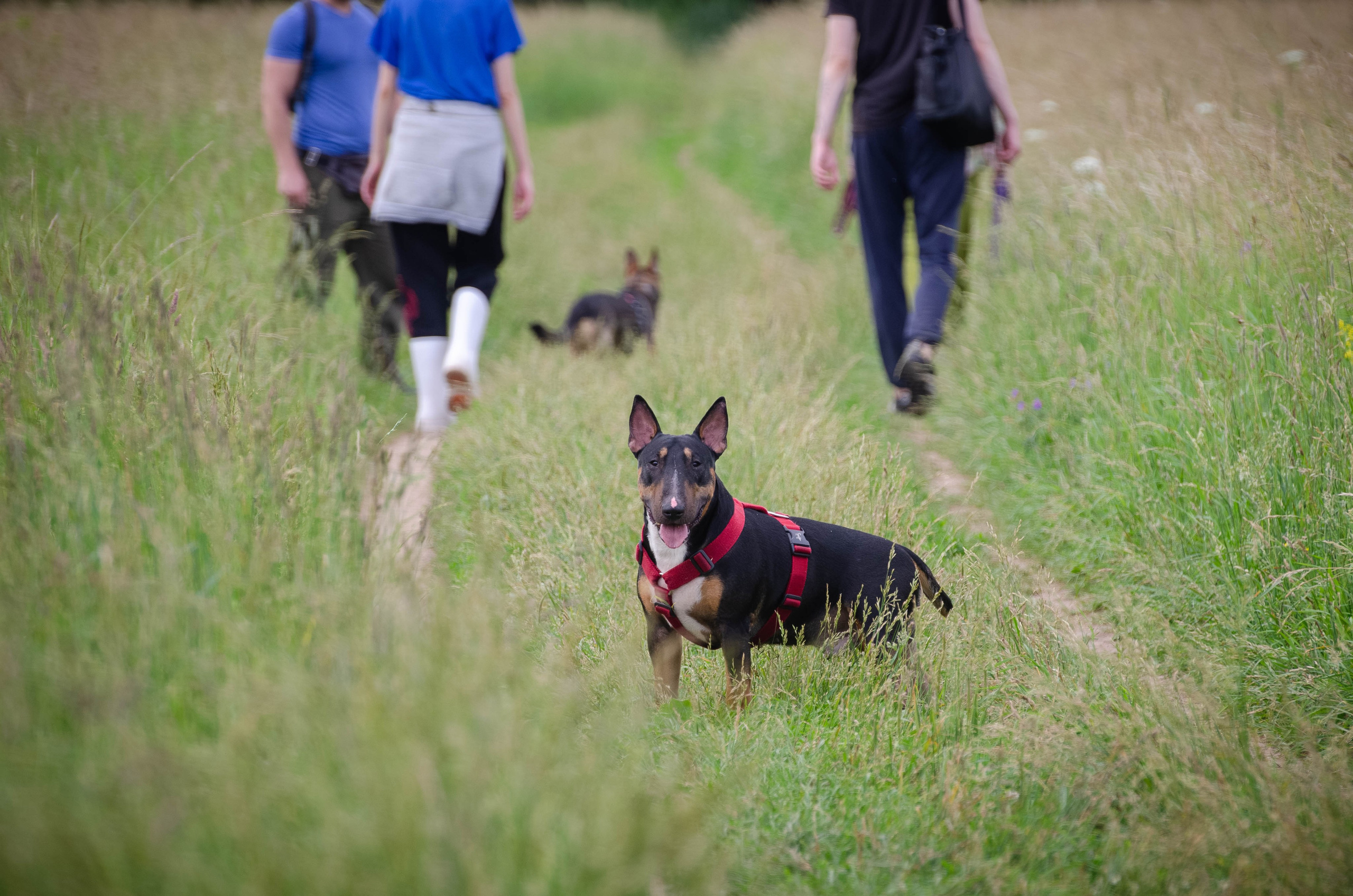 Прогулка (Лохин остров). Фотограф Светлана Блинова, Москва и Московская область