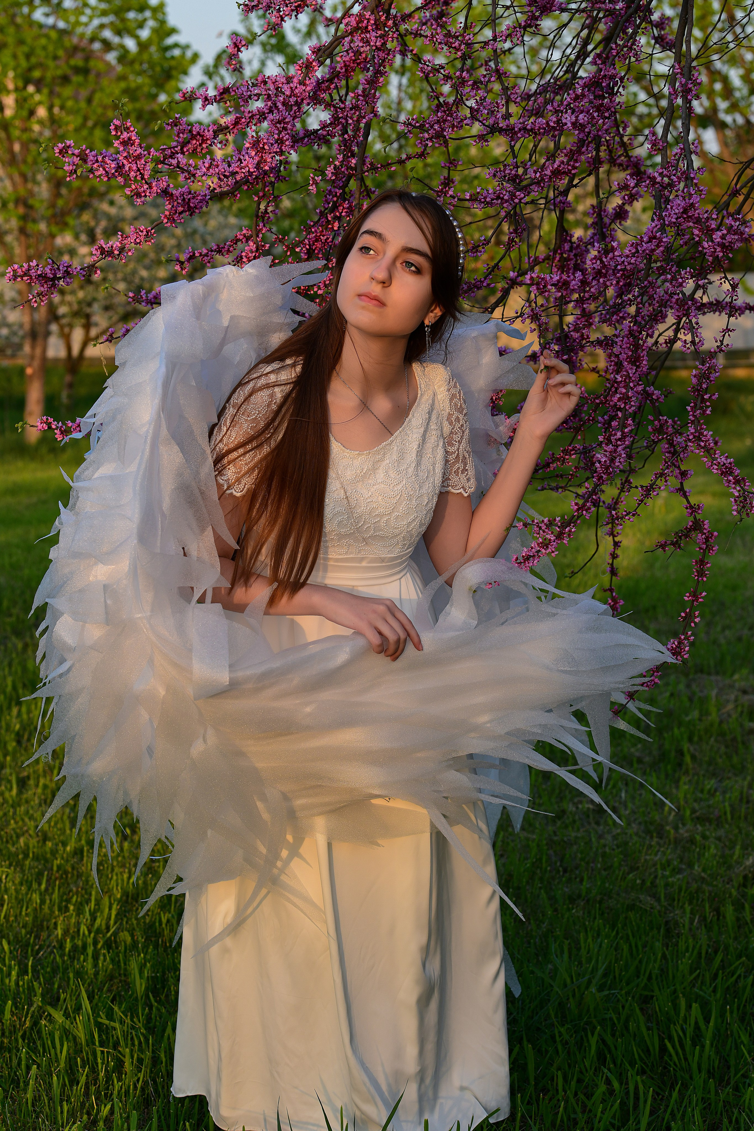 Крылатые истории. Главная