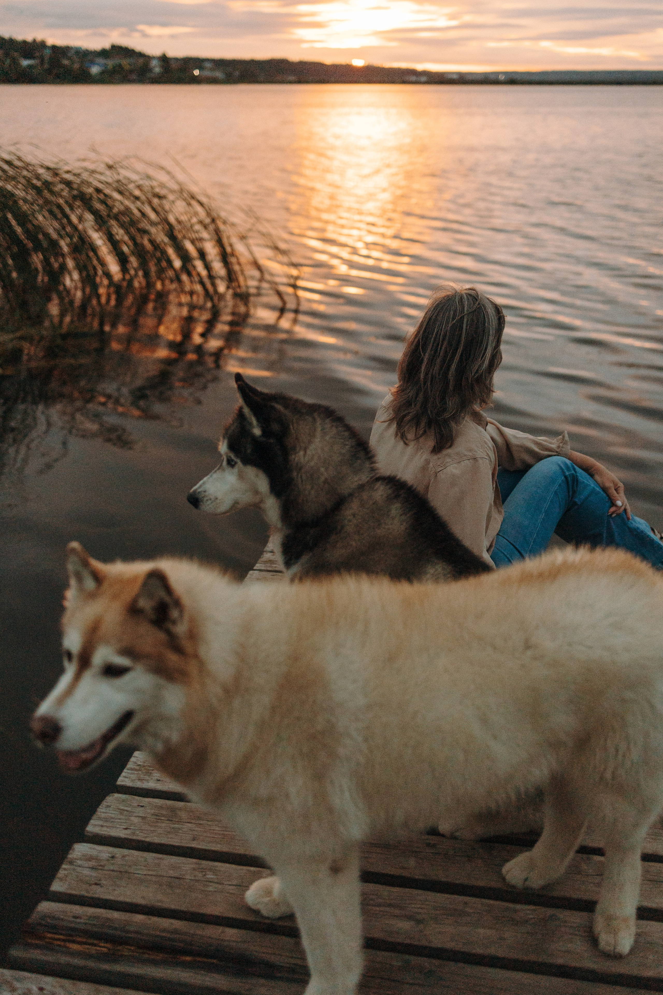 Дом у реки. Фотограф — Анималист | Санкт-Петербург