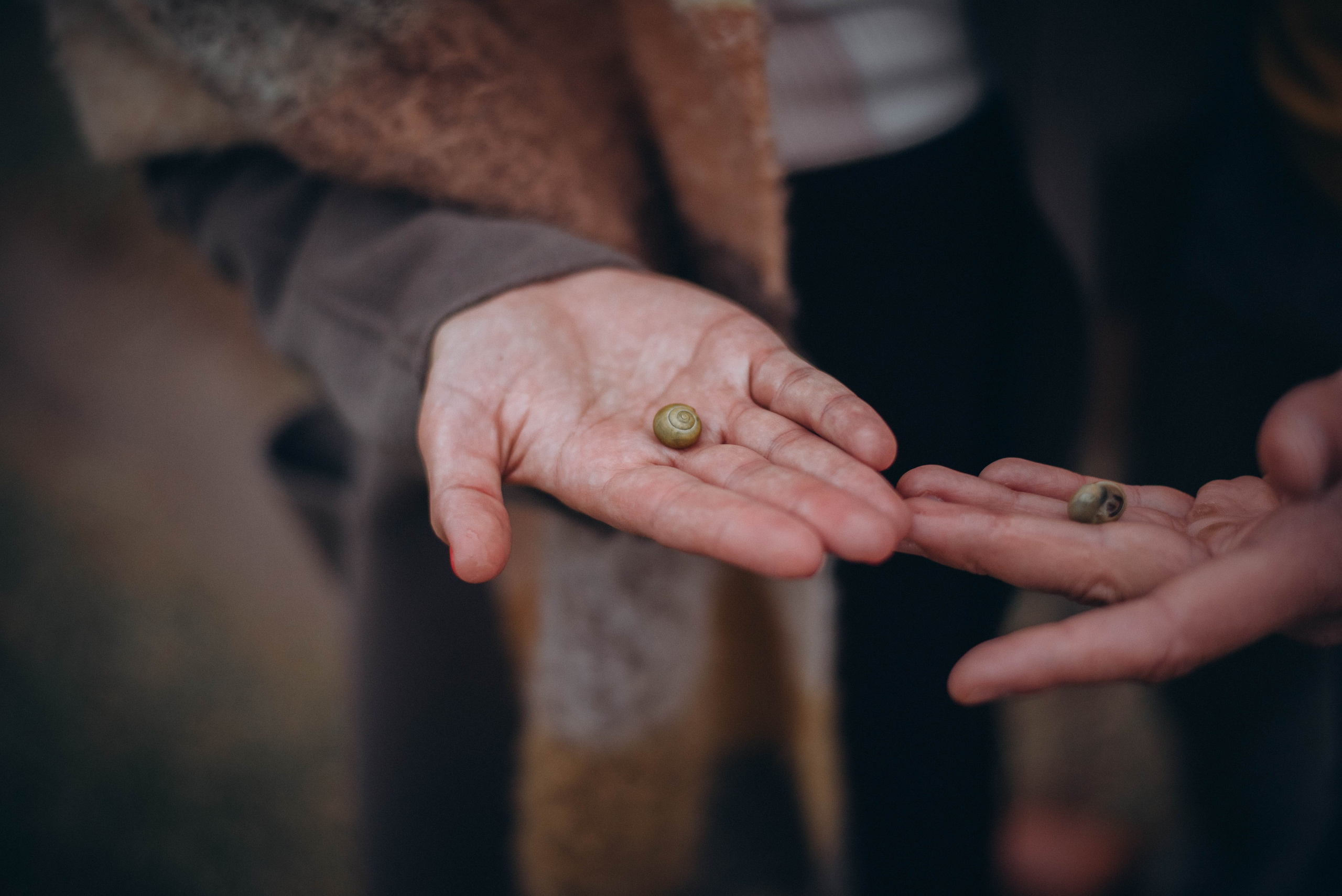 Осень. Леся Власова. Семейный Lifestyle фотограф в Москве