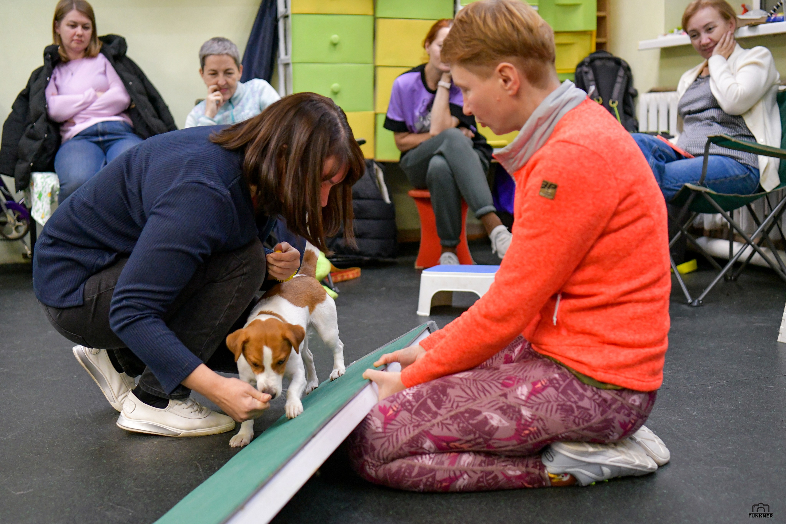 Кинологический клуб «Бодрый хвост». Свой взгляд через объектив