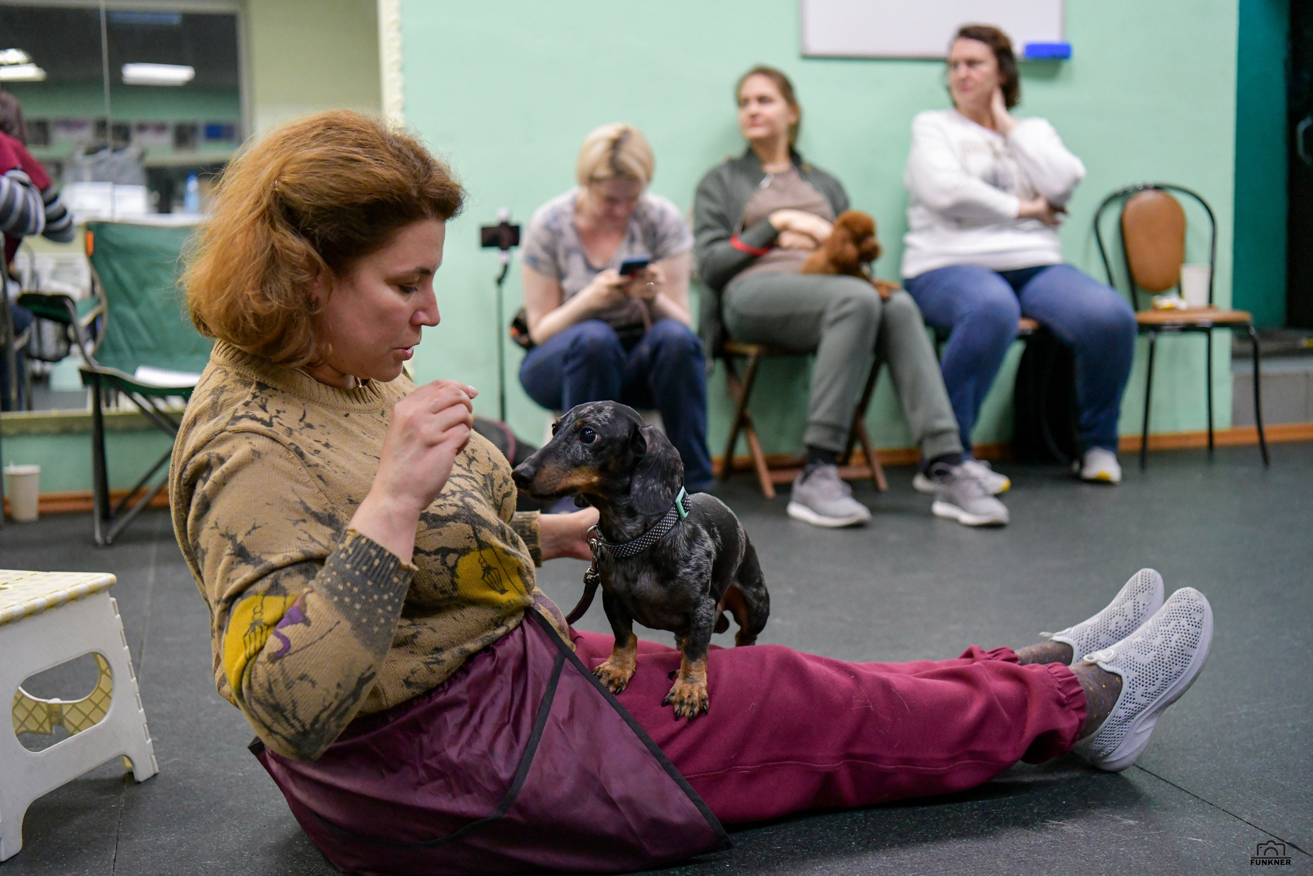 Кинологический клуб «Бодрый хвост». Свой взгляд через объектив