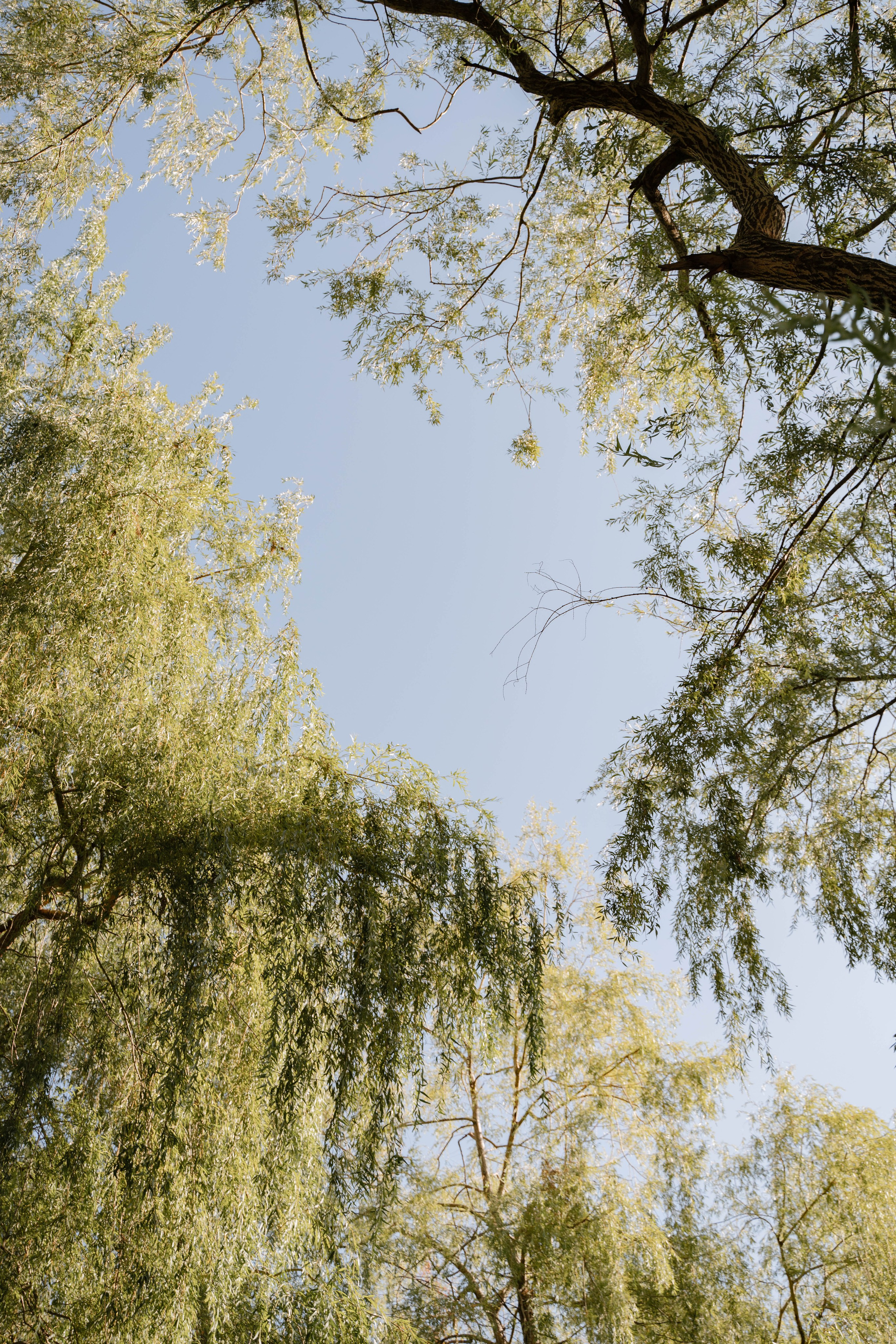 Счастливых выдают глаза. Свадебный фотограф в Краснодаре и Санкт-Петербурге Евгения Алексеева