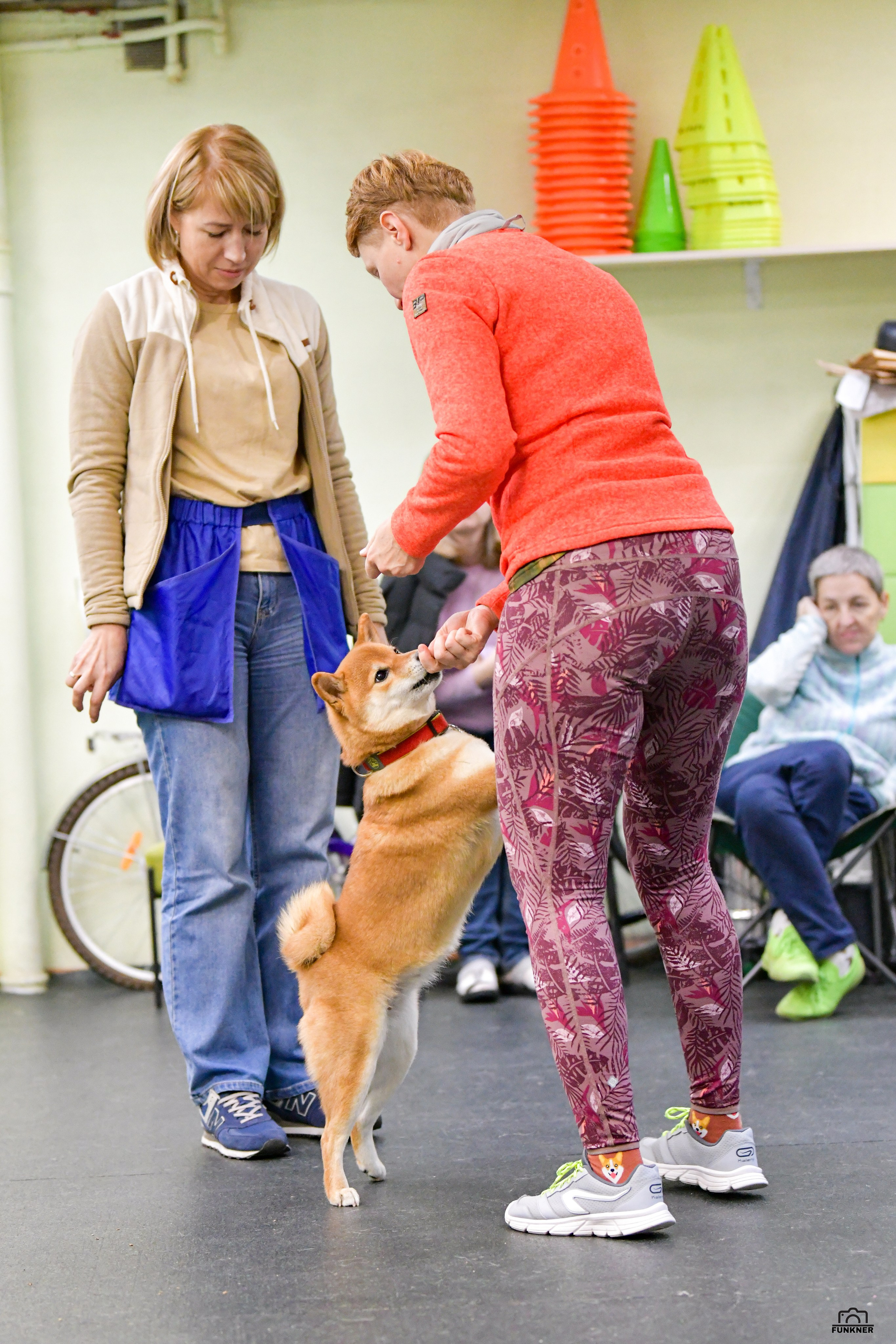 Кинологический клуб «Бодрый хвост». Свой взгляд через объектив