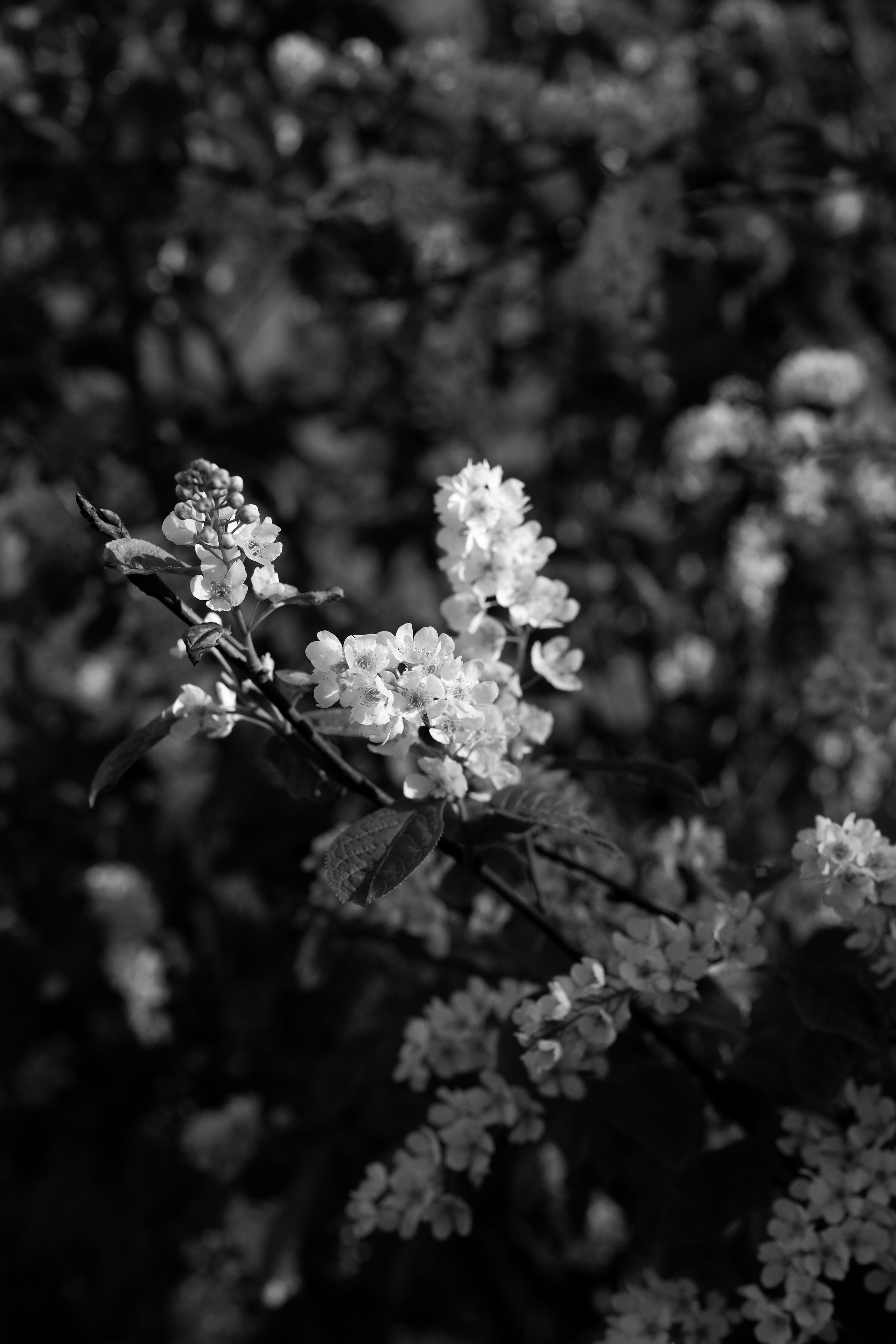 /все что вокруг. Kristina Rashkovskaya