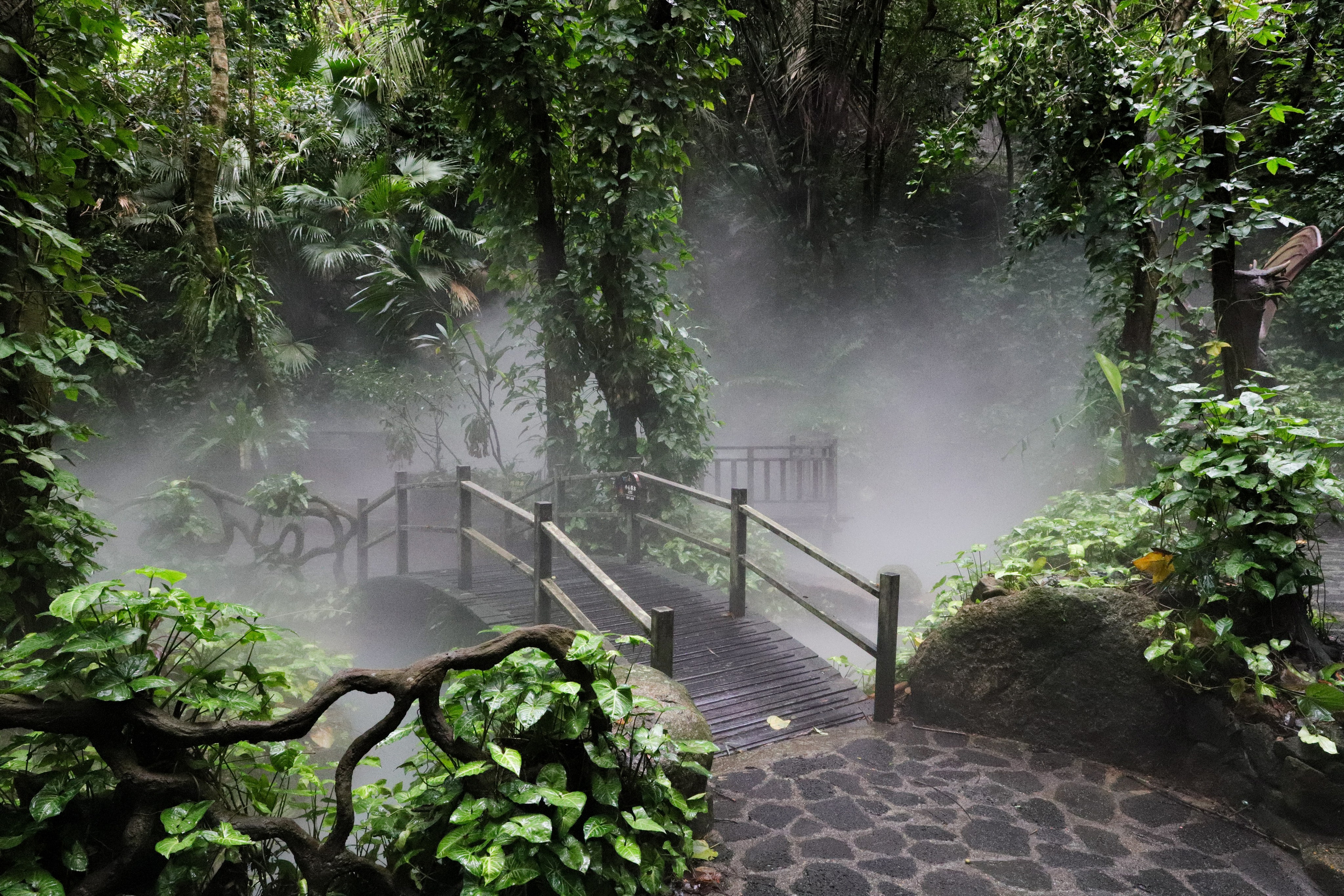 /все что вокруг. Kristina Rashkovskaya