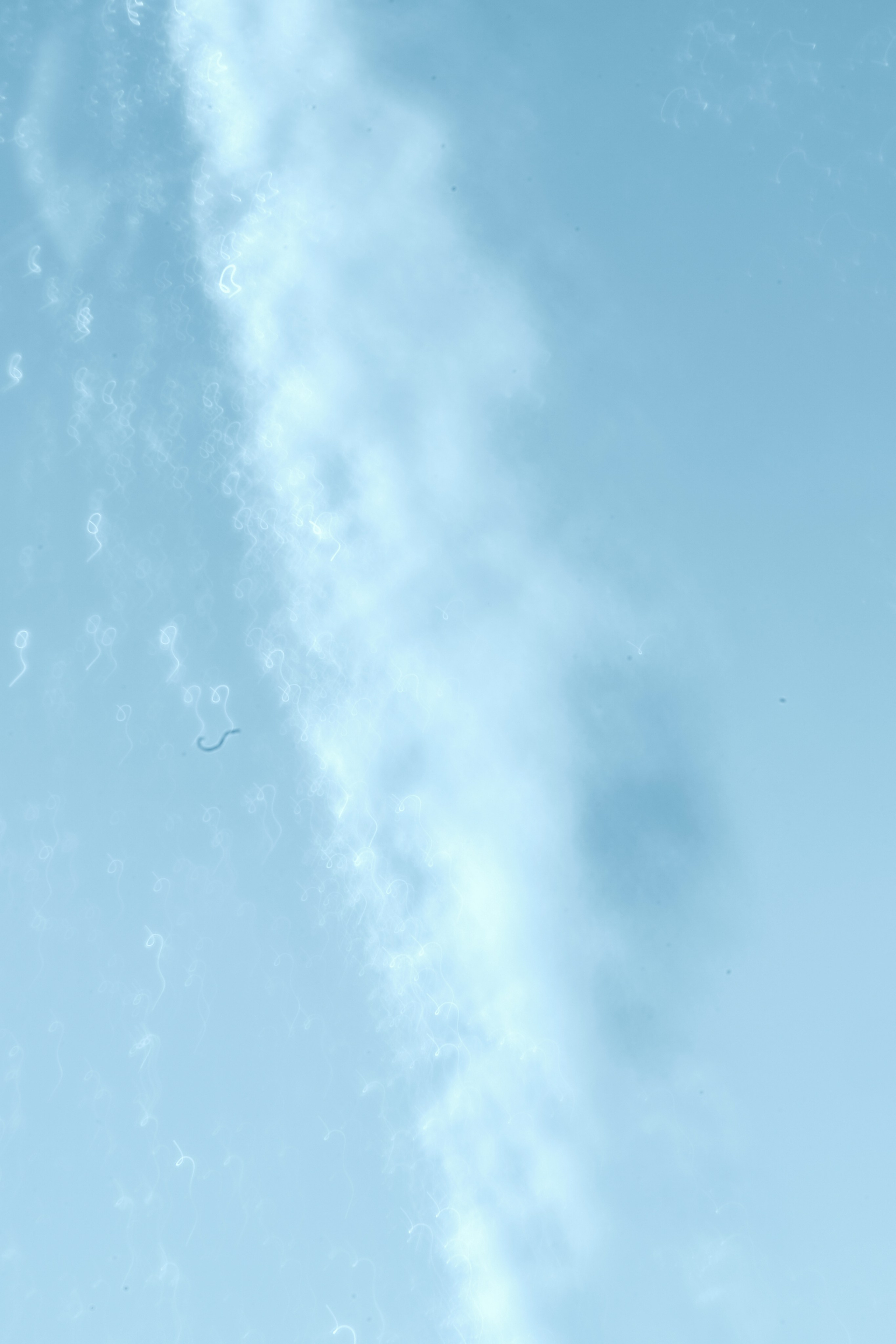 Art. Арт — фотограф Евгений Наймушин Новокузнецк