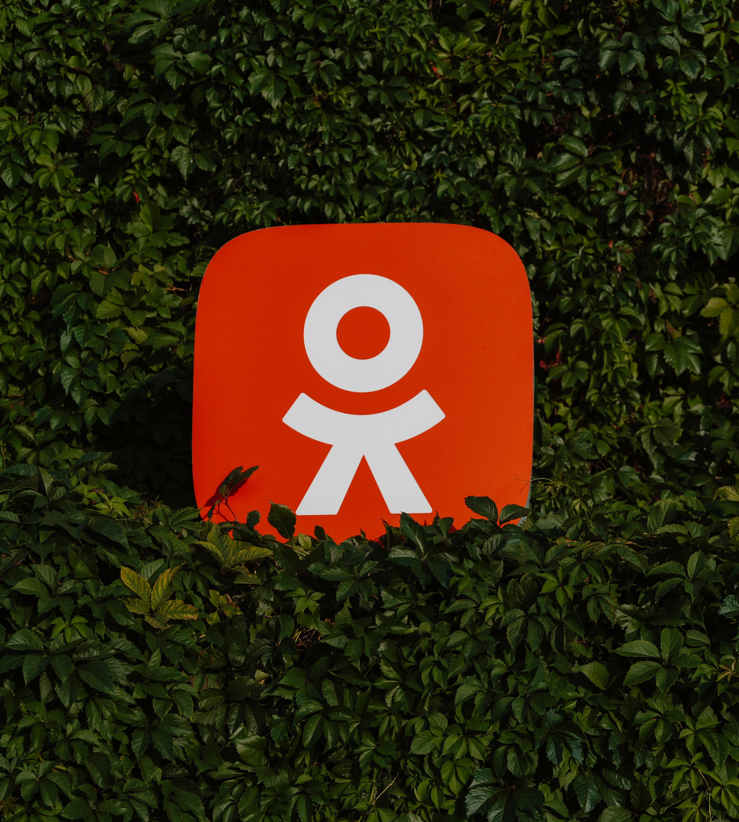 ОК/ PRIME TIME 2.0. Фотограф первого впечатления