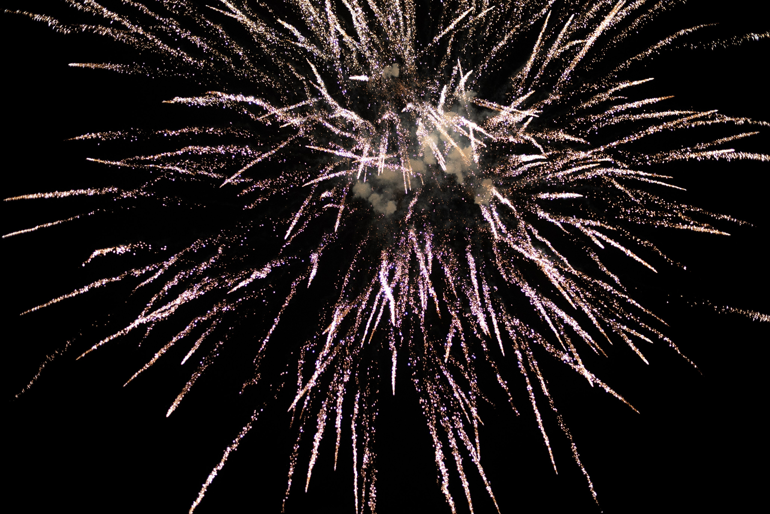 Анастасия и Роман. Семейный и детский фотограф в Воронеже София Минакова