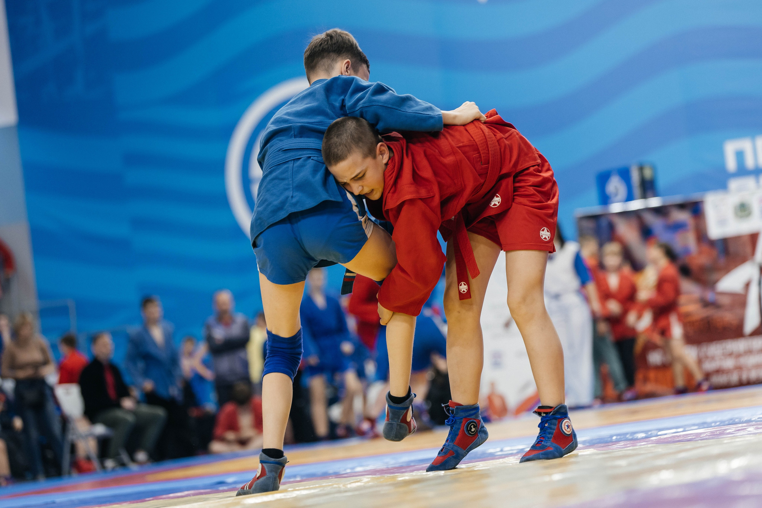 Sambo Championship. Maxim Tsoy Photography