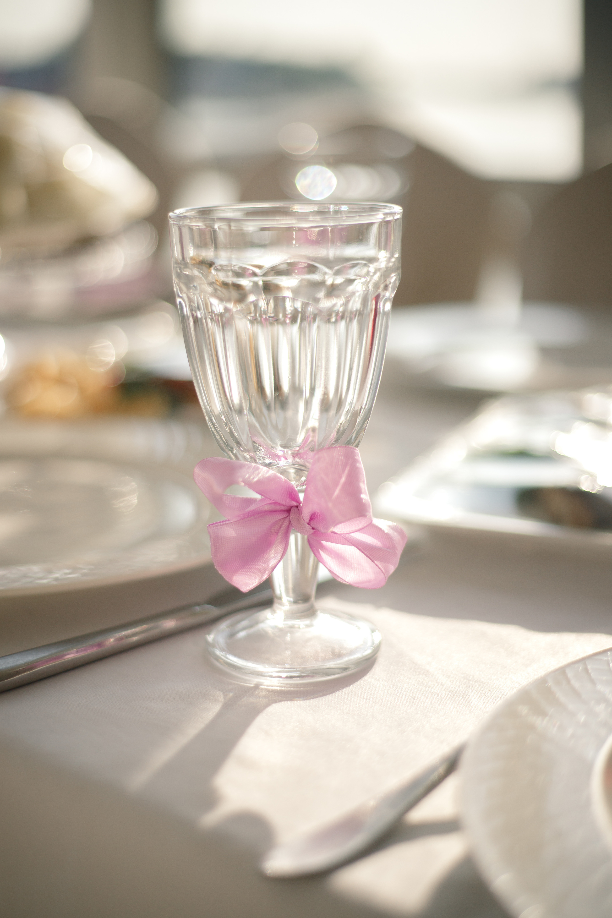 Девичник. Светлана Иванова - профессиональный фотограф