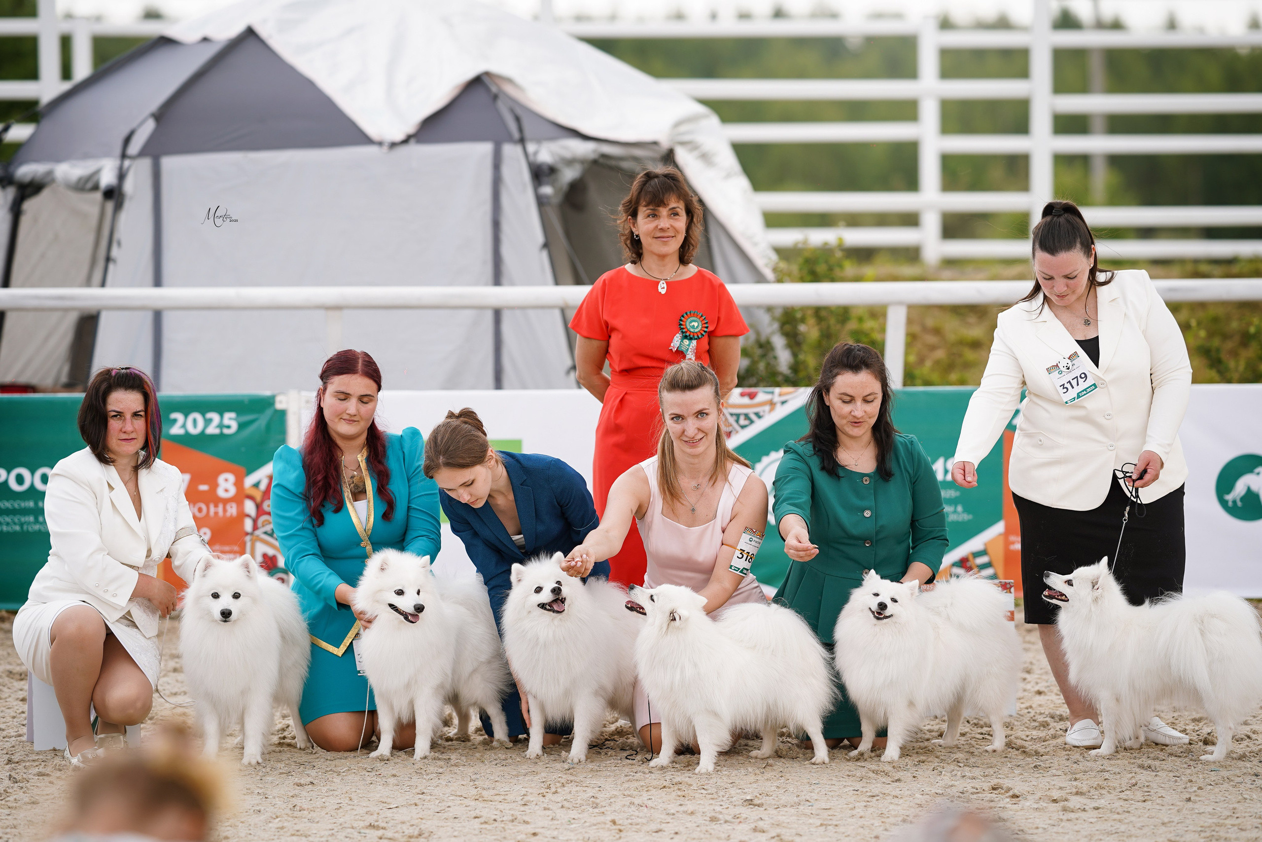 Выставки 2025. Фотограф-анималист в Санкт-Петербурге Яна Мартынова