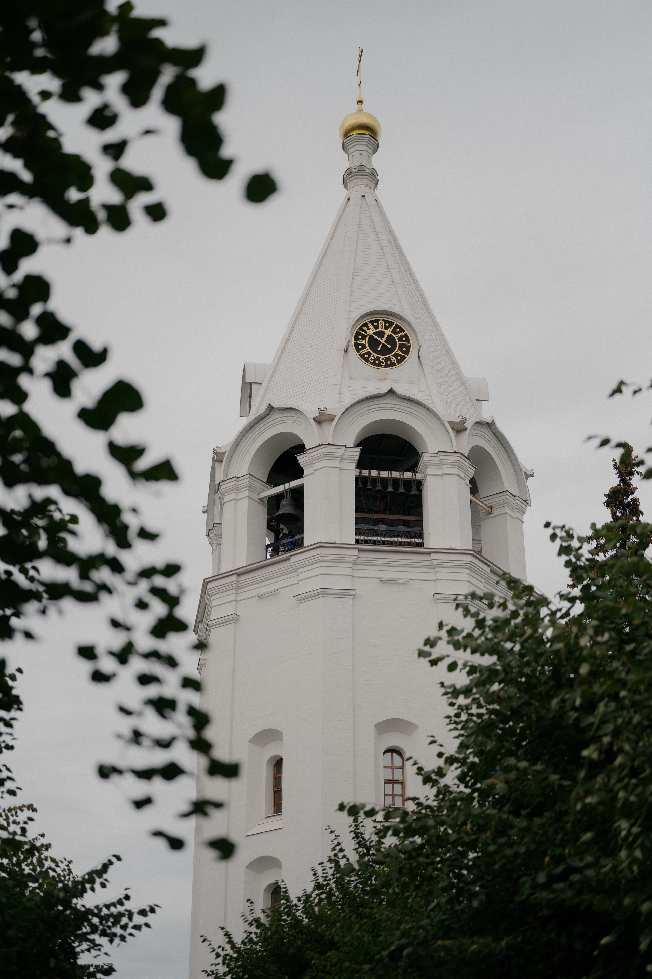 Фомичевы. Семейный и свадебный фотограф в Сарове Дмитрий Власов