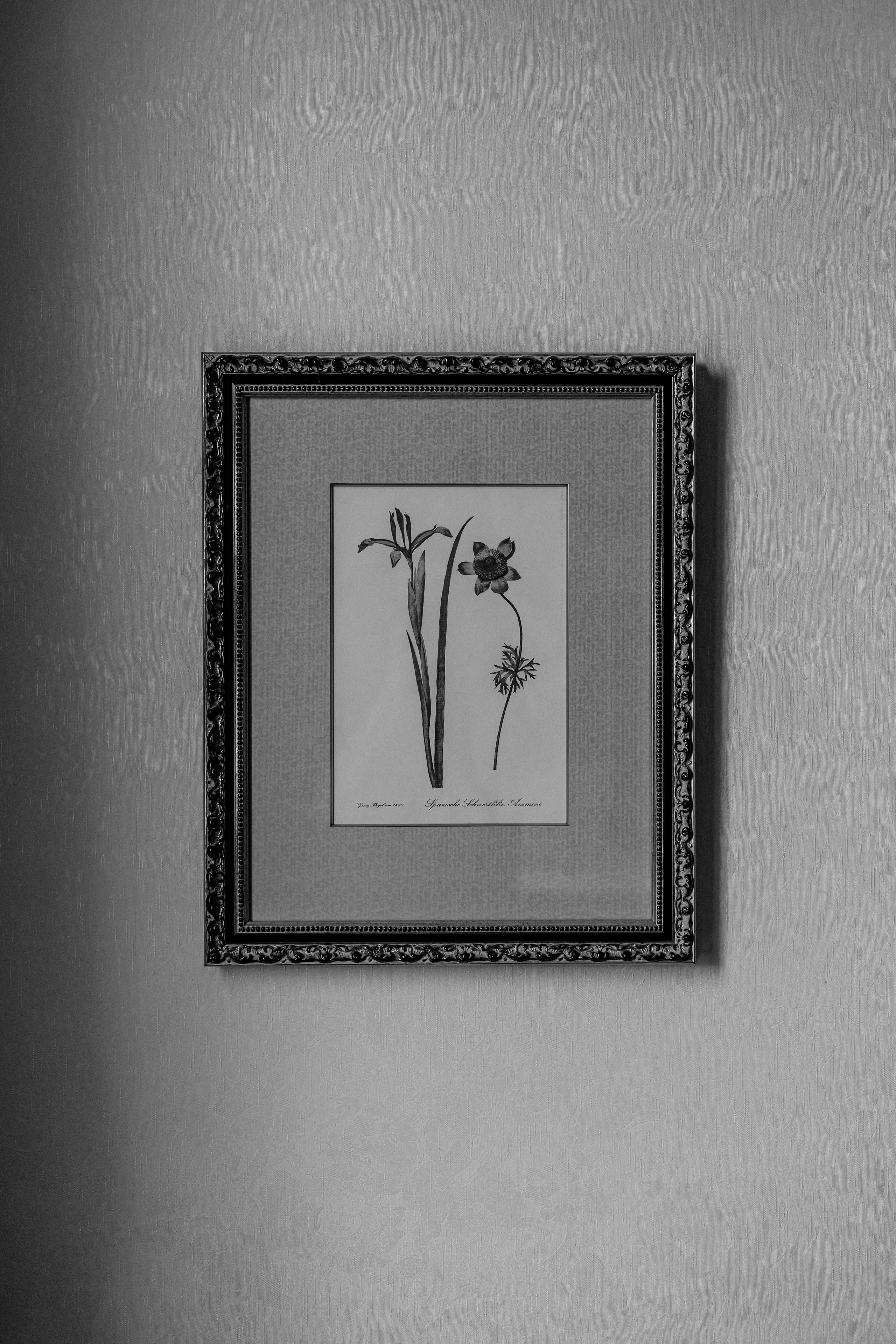 Софья и Артем. Свадебный фотограф и видеограф Когай Дмитрий и Юлия