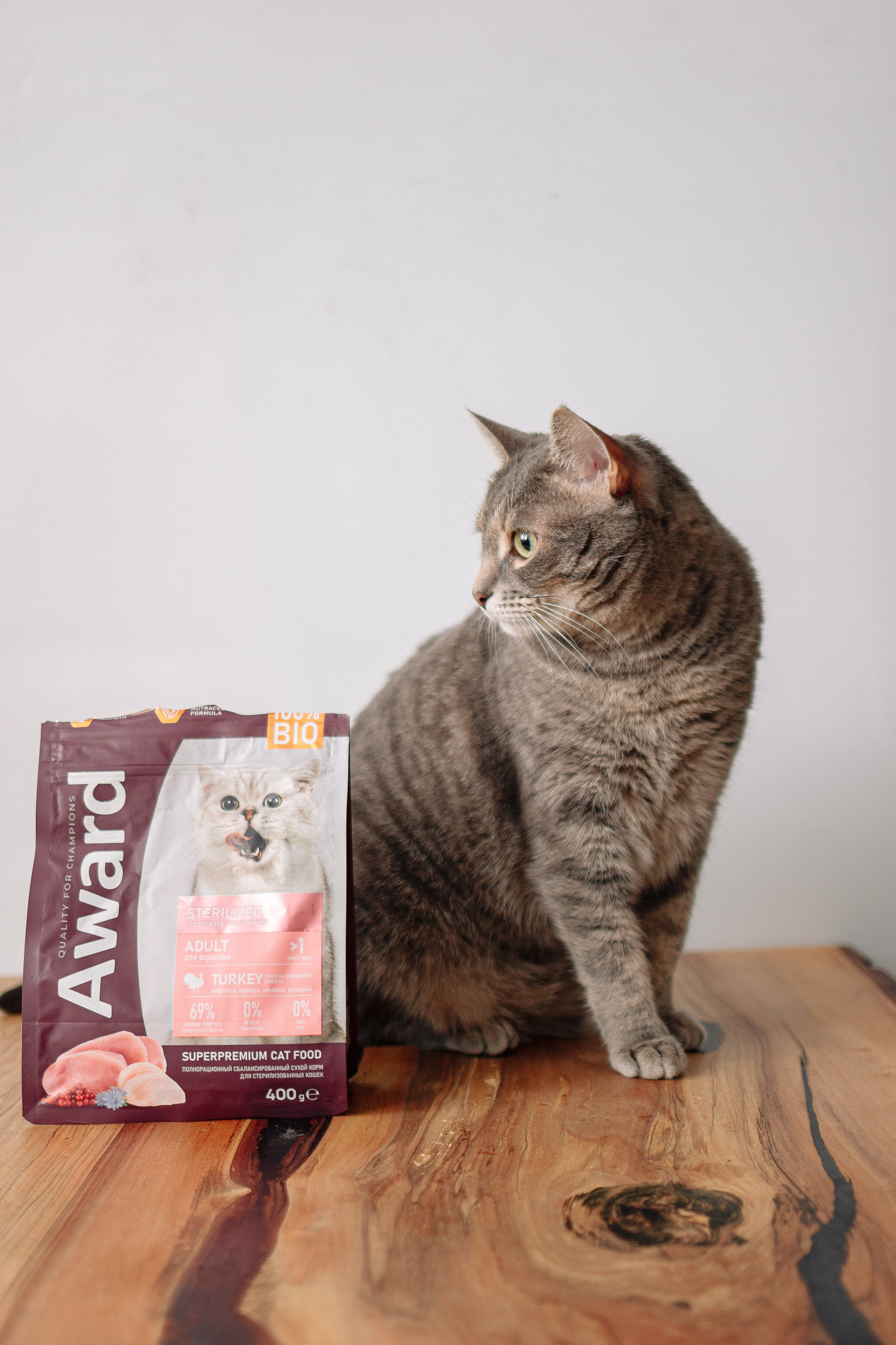 Благотворительная съемка животных. Предметный фотограф в Москве Дарья Радькович