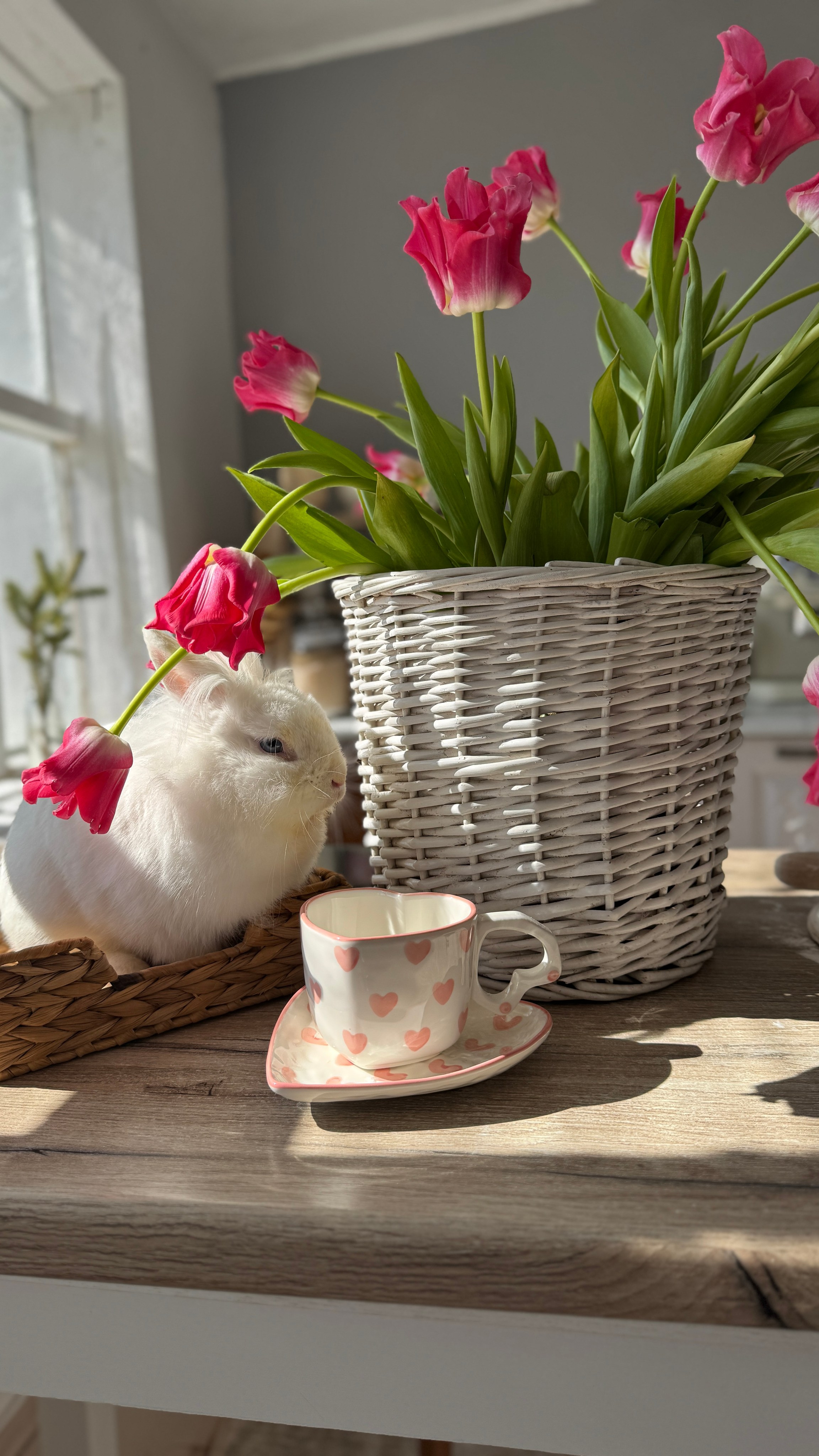 Кухня. Фотостудия Натальи Забродской