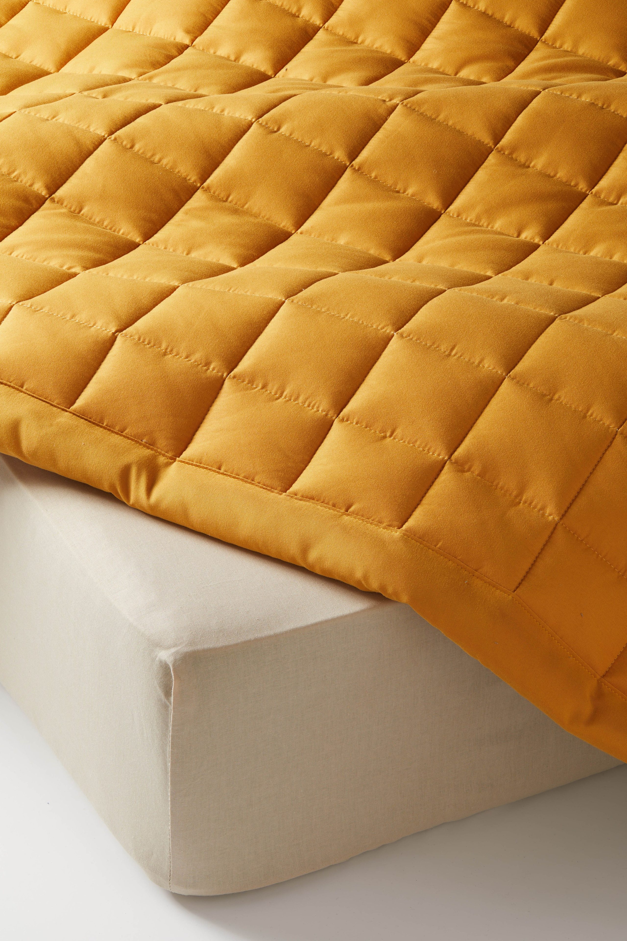 Пледы Pragma. Олег Дмитриев