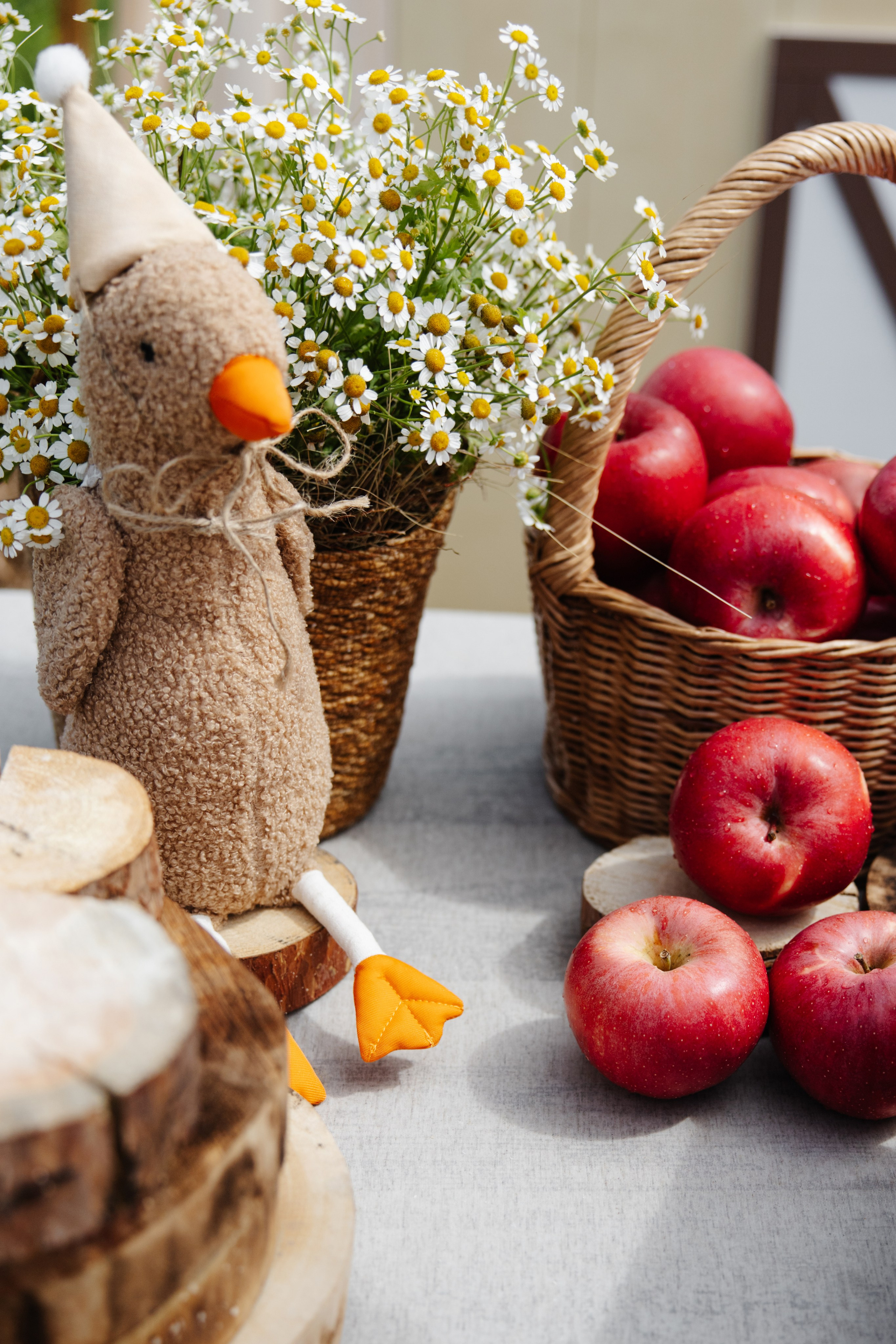 ГЕНДЕР ПАТИ. Фотограф в Красноярске