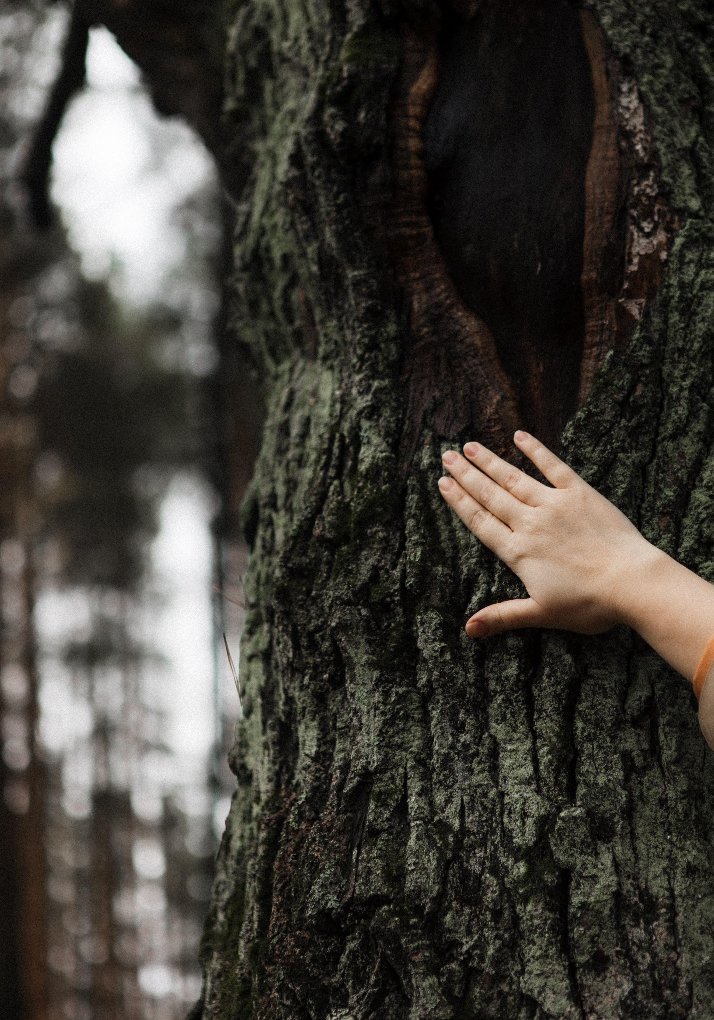 Ирина. Фотограф Москва и Московская область