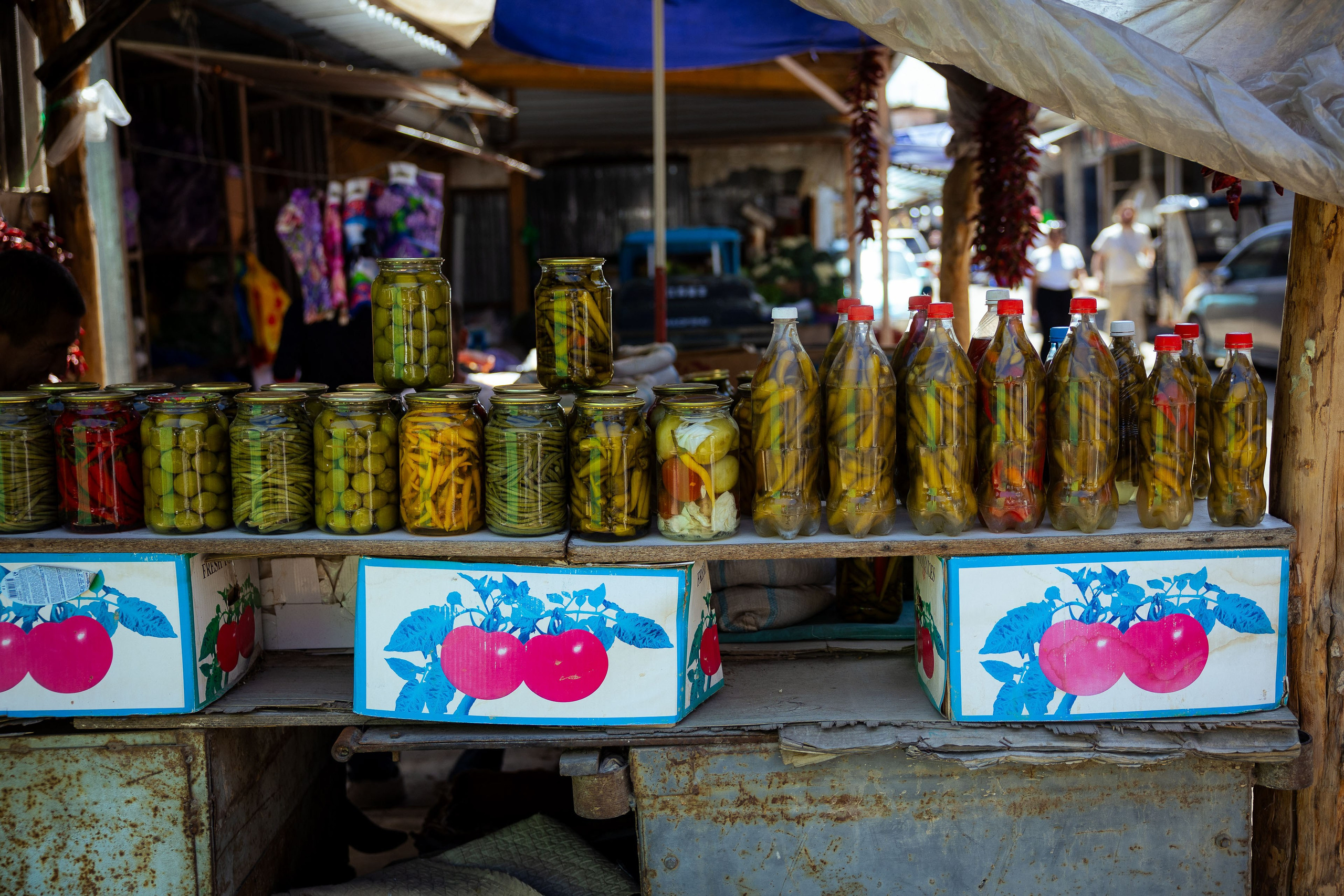 Кыргызстан (весна 2025). Фотограф Виноградов Константин