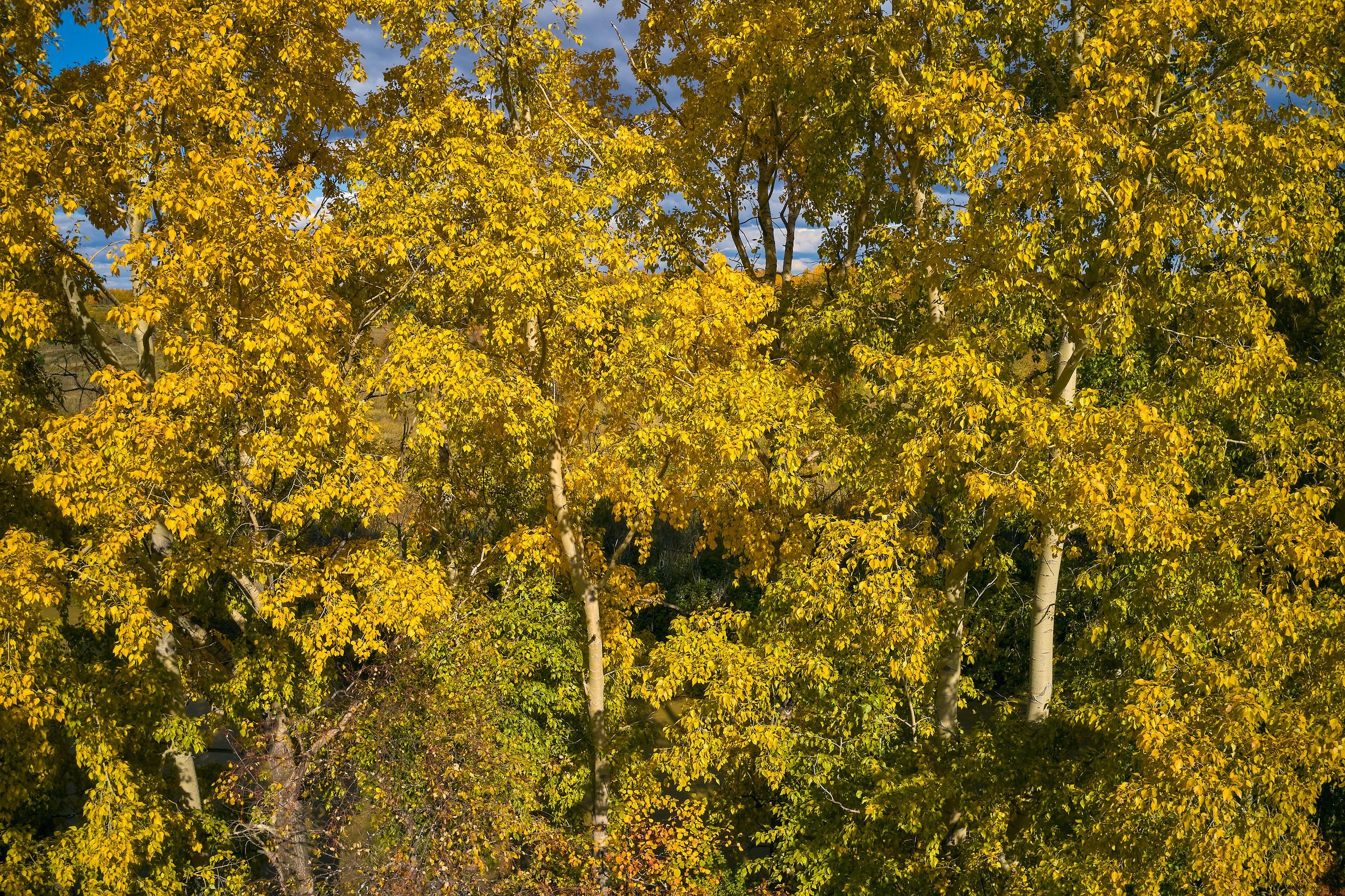 Съемка в полете. DMITRY MOISEENKO — фотограф, художник, топ-стилист