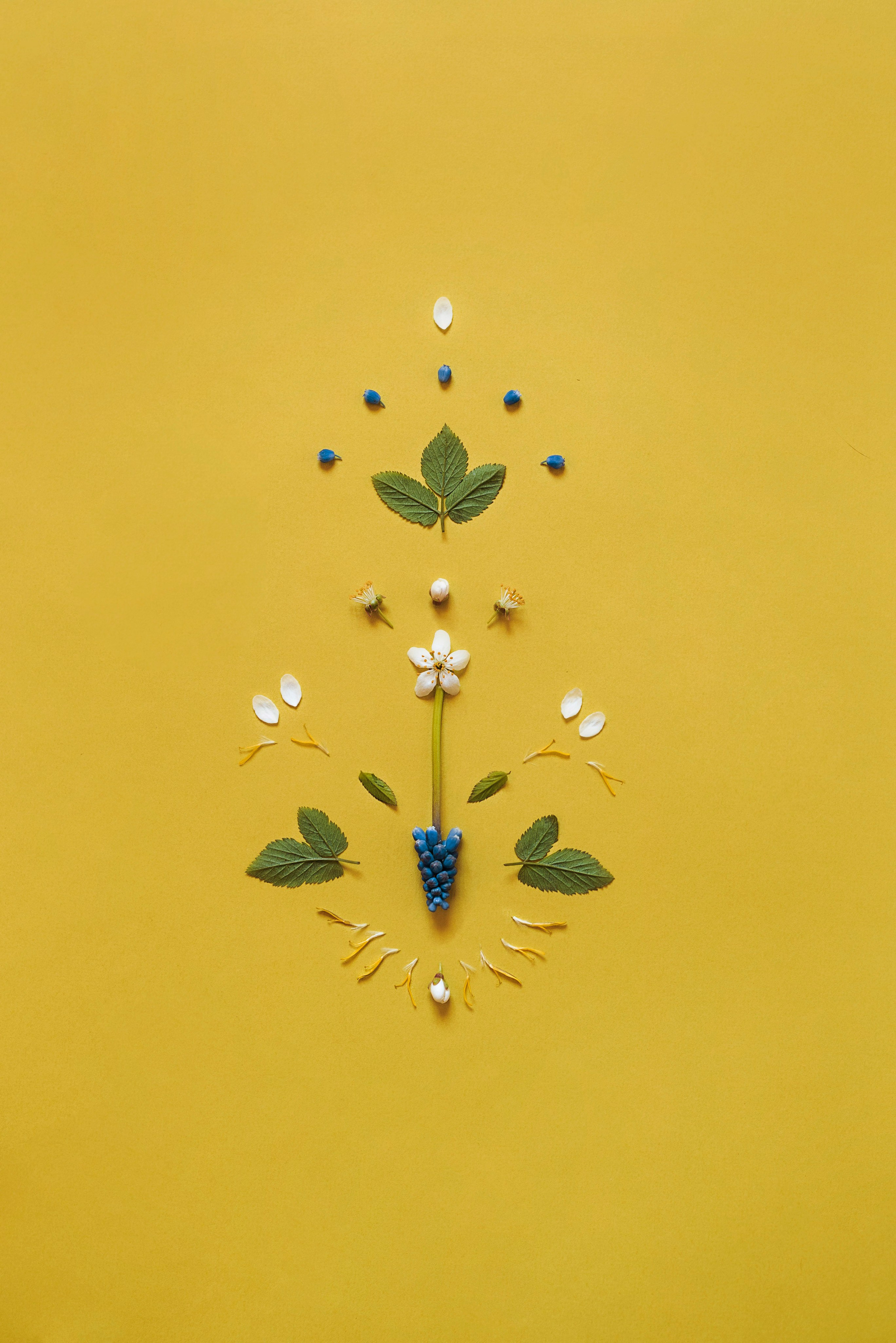 LAYER OF PETALS. Сocoobird || Атмосфера твоего бренда в снимках и видео