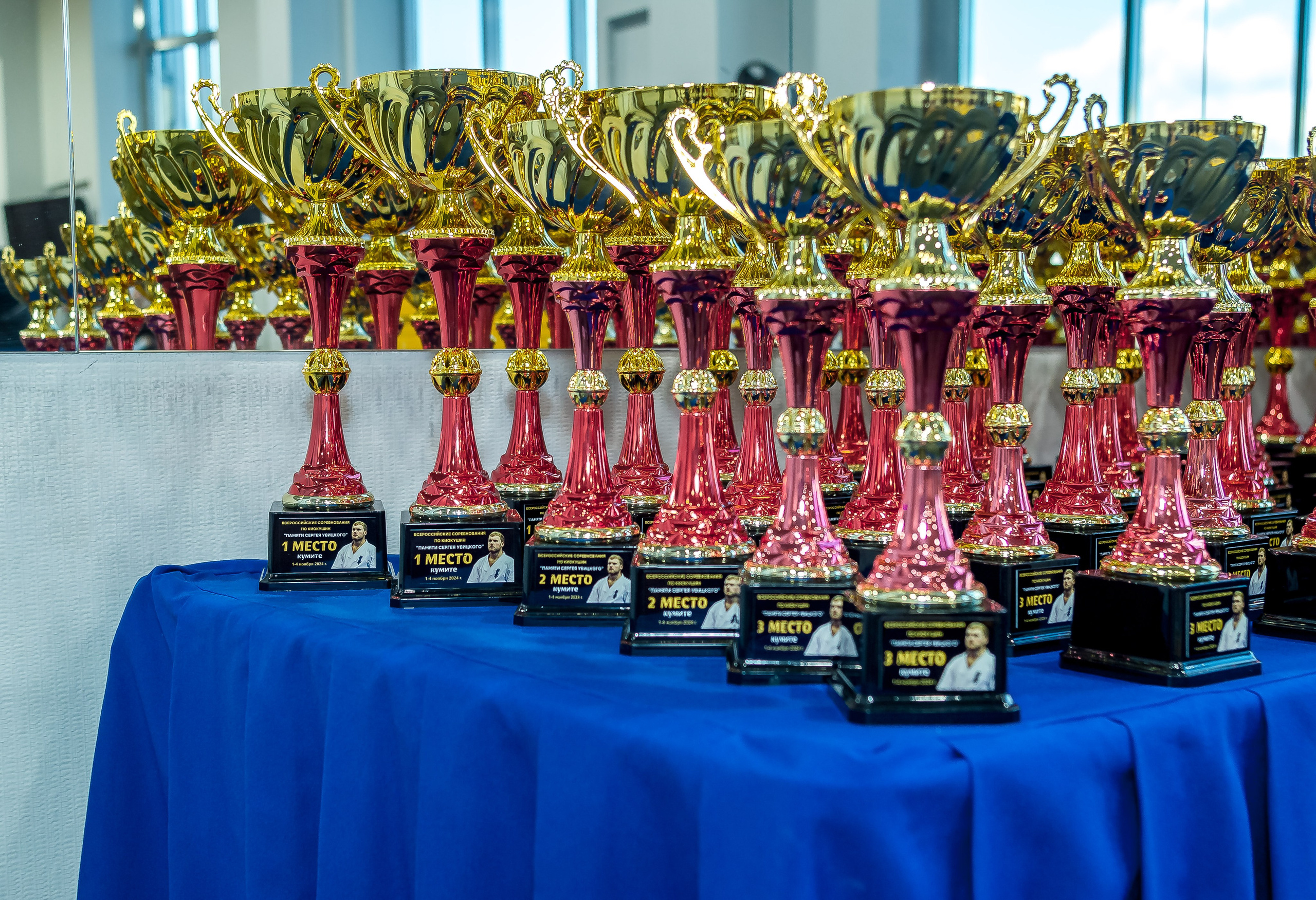 Соревнования по Киокушин памяти С. Увицкого. Репортажная съемка в Москве и области. Анималистика