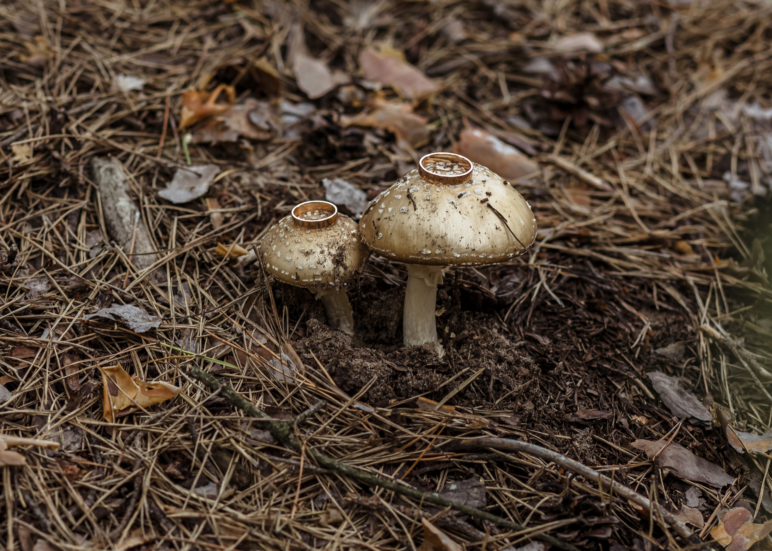Фотограф Анастасия Романова Рязань