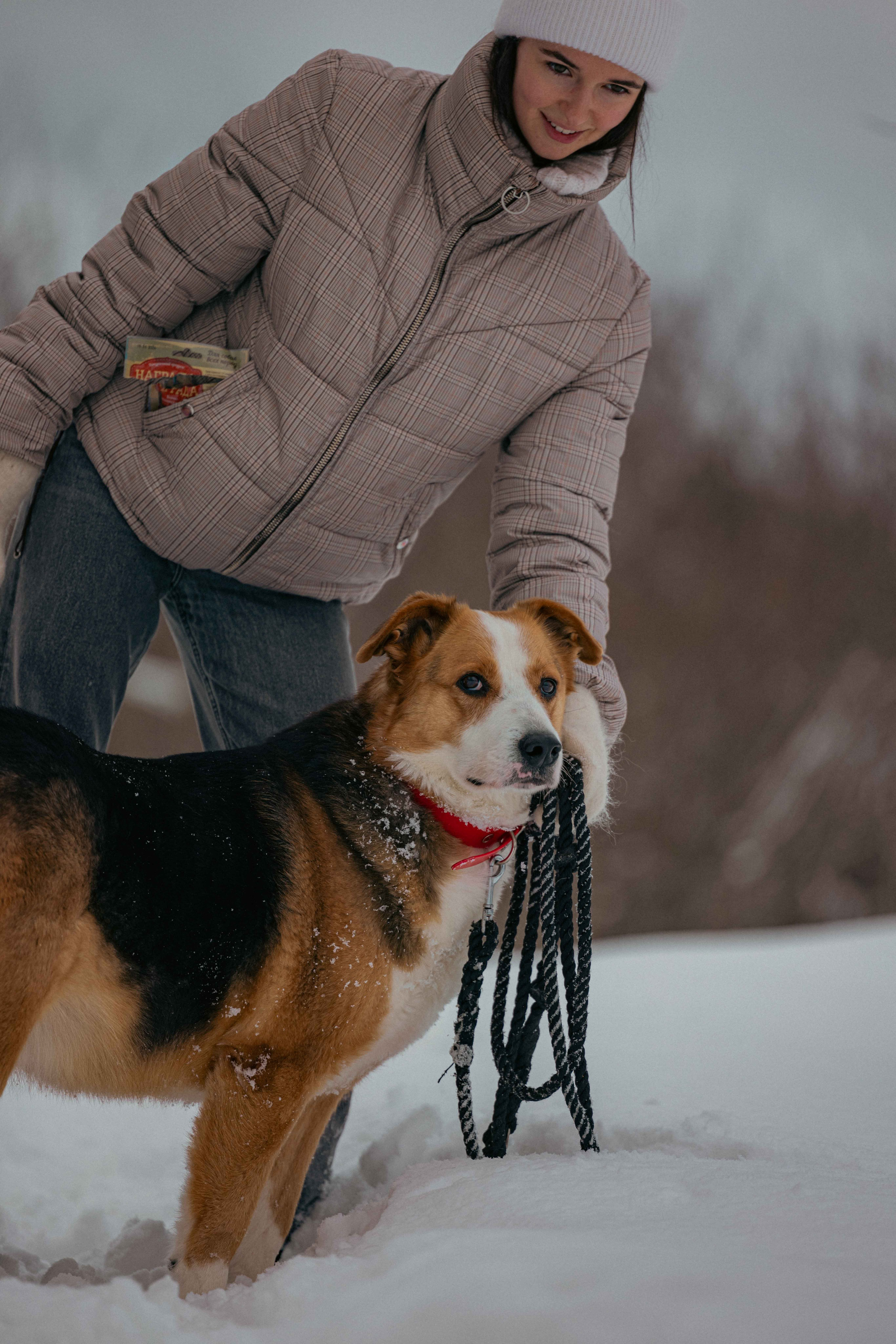 Петя. Фотограф-анималист в Москве Лера Черноног
