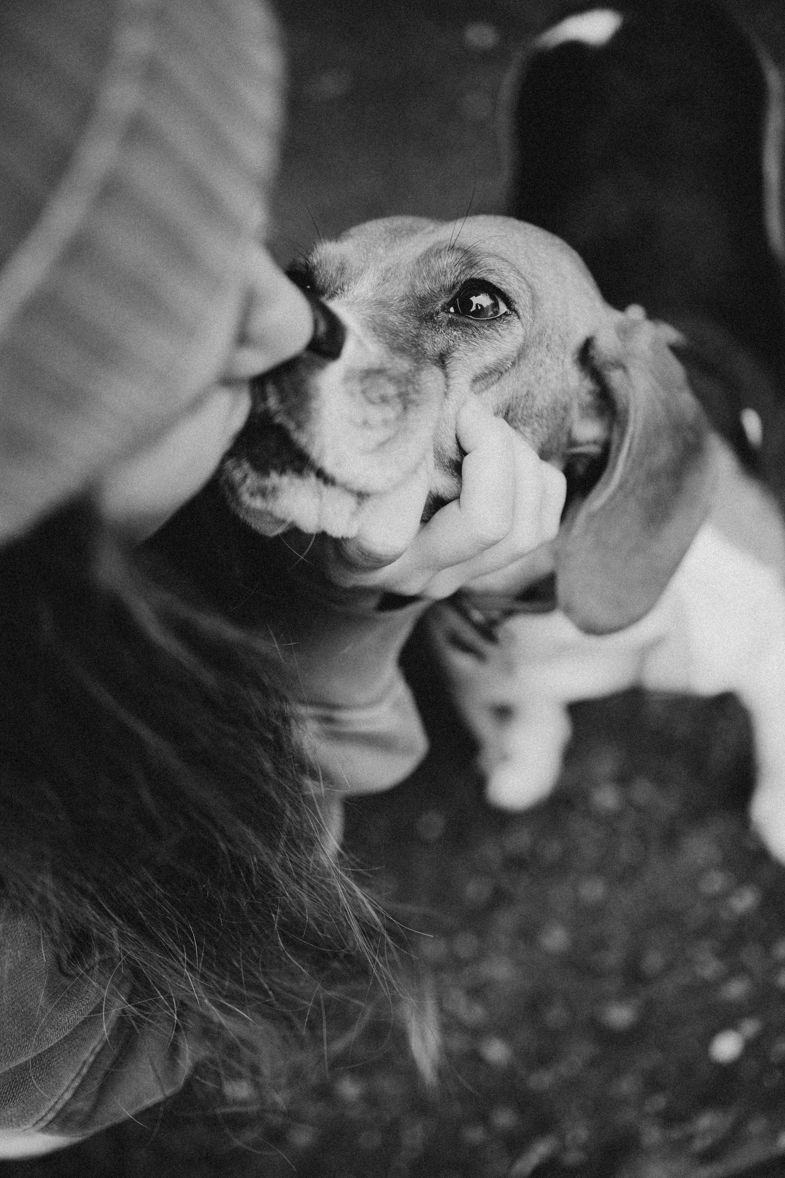 Света и Ива. Фотограф-анималист в Москве Лера Черноног