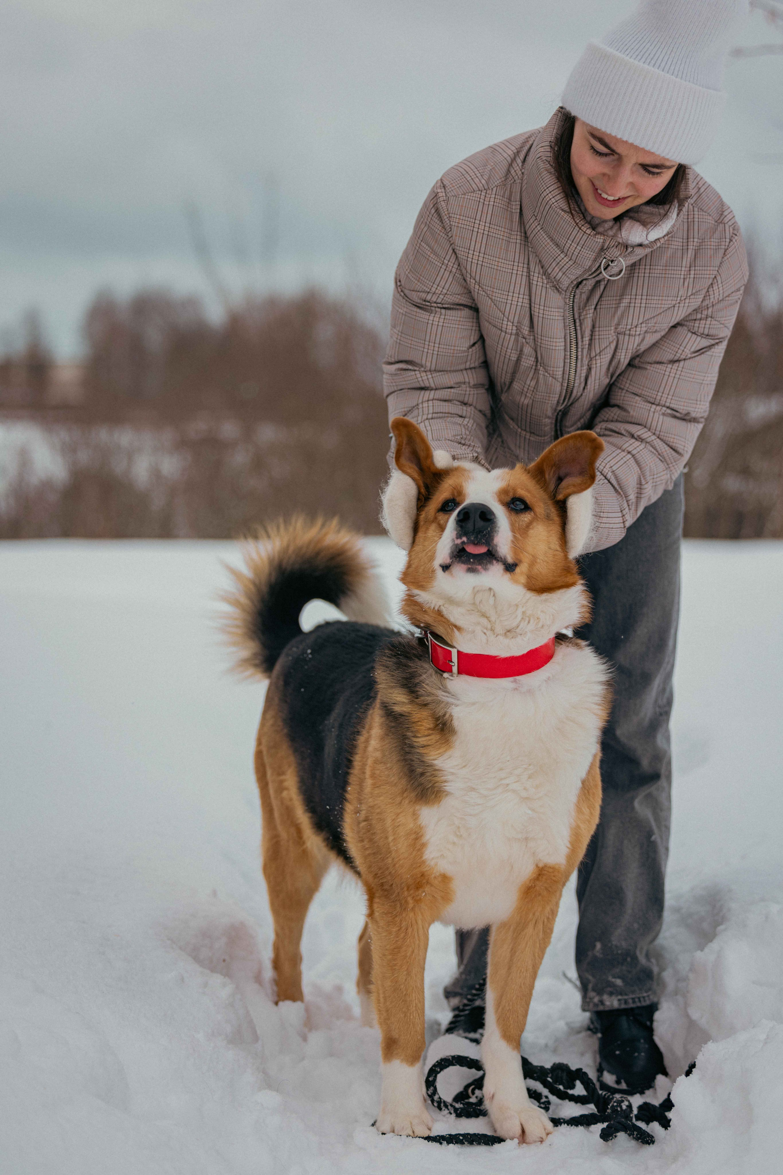 Петя. Фотограф-анималист в Москве Лера Черноног
