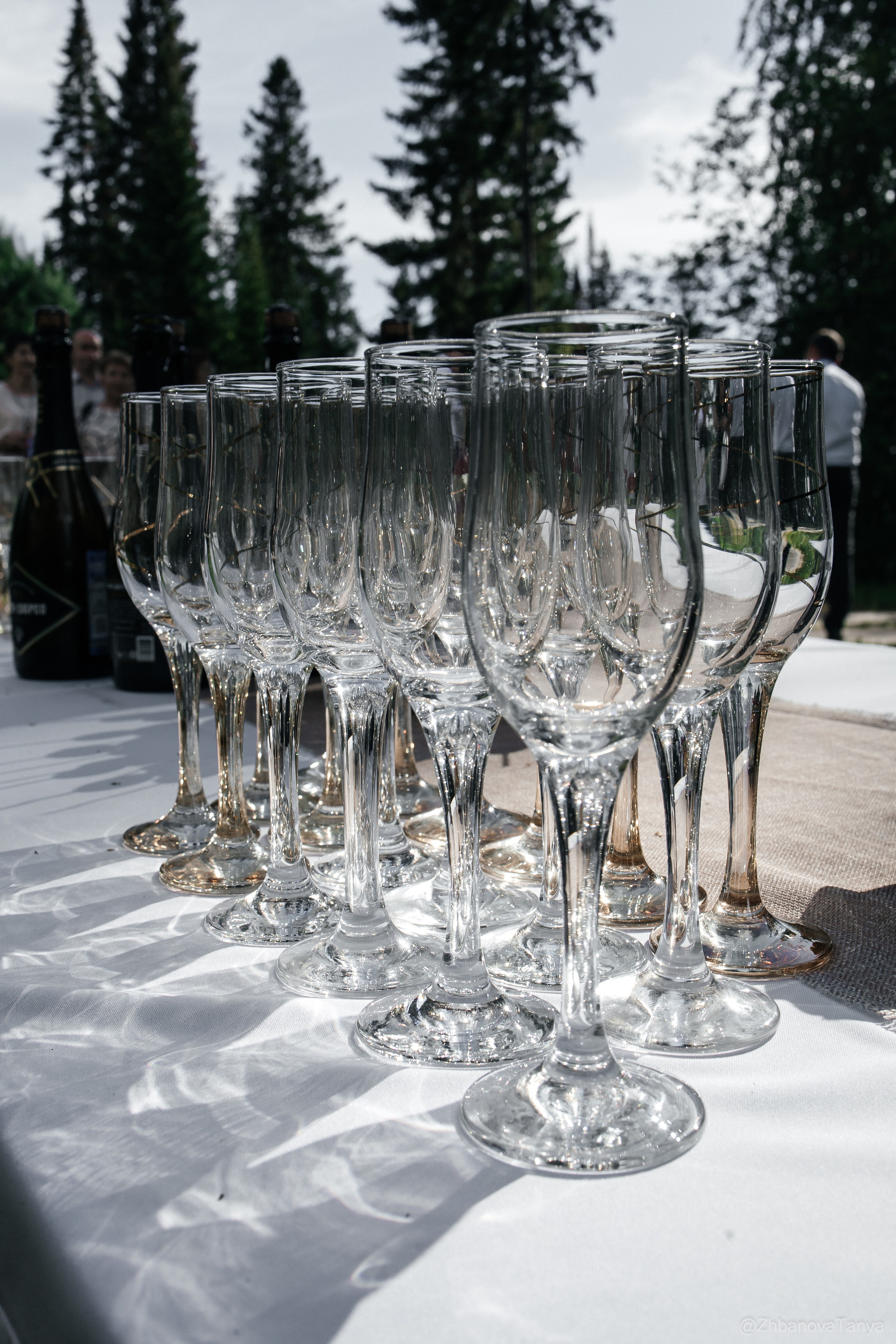 Свадебная. Фотограф Татьяна Жбанова