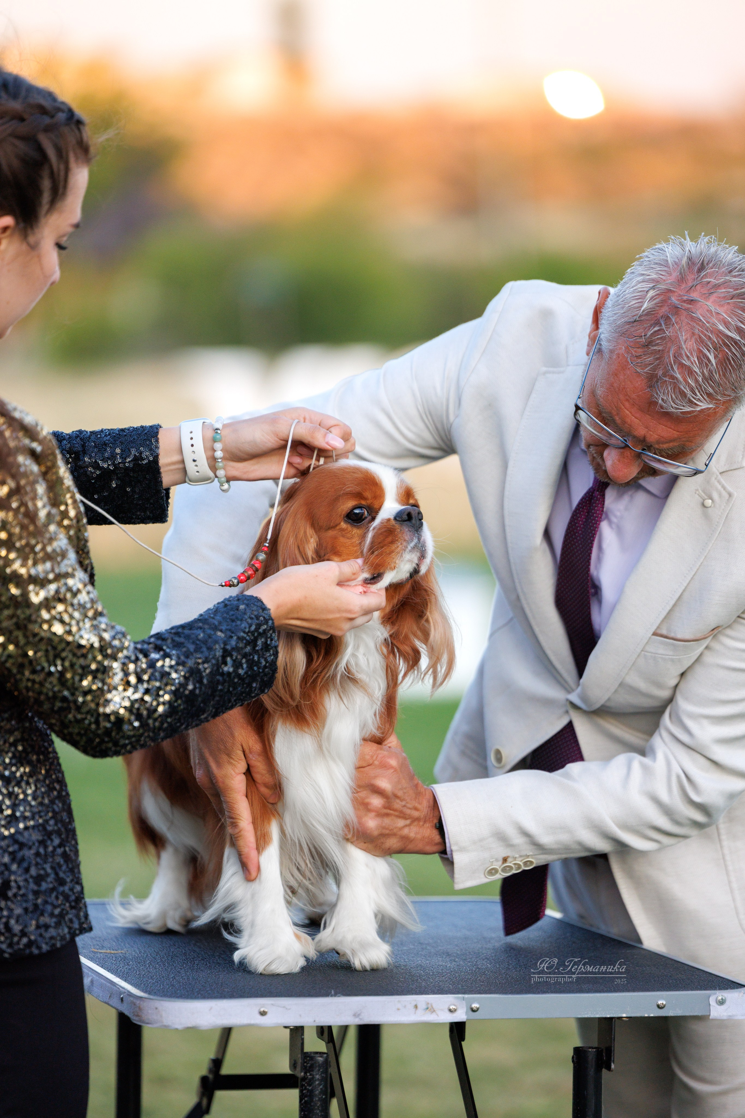 Ереван 3хCACIB 23-25.06.2025. Фотограф-анималист Юлия Германика