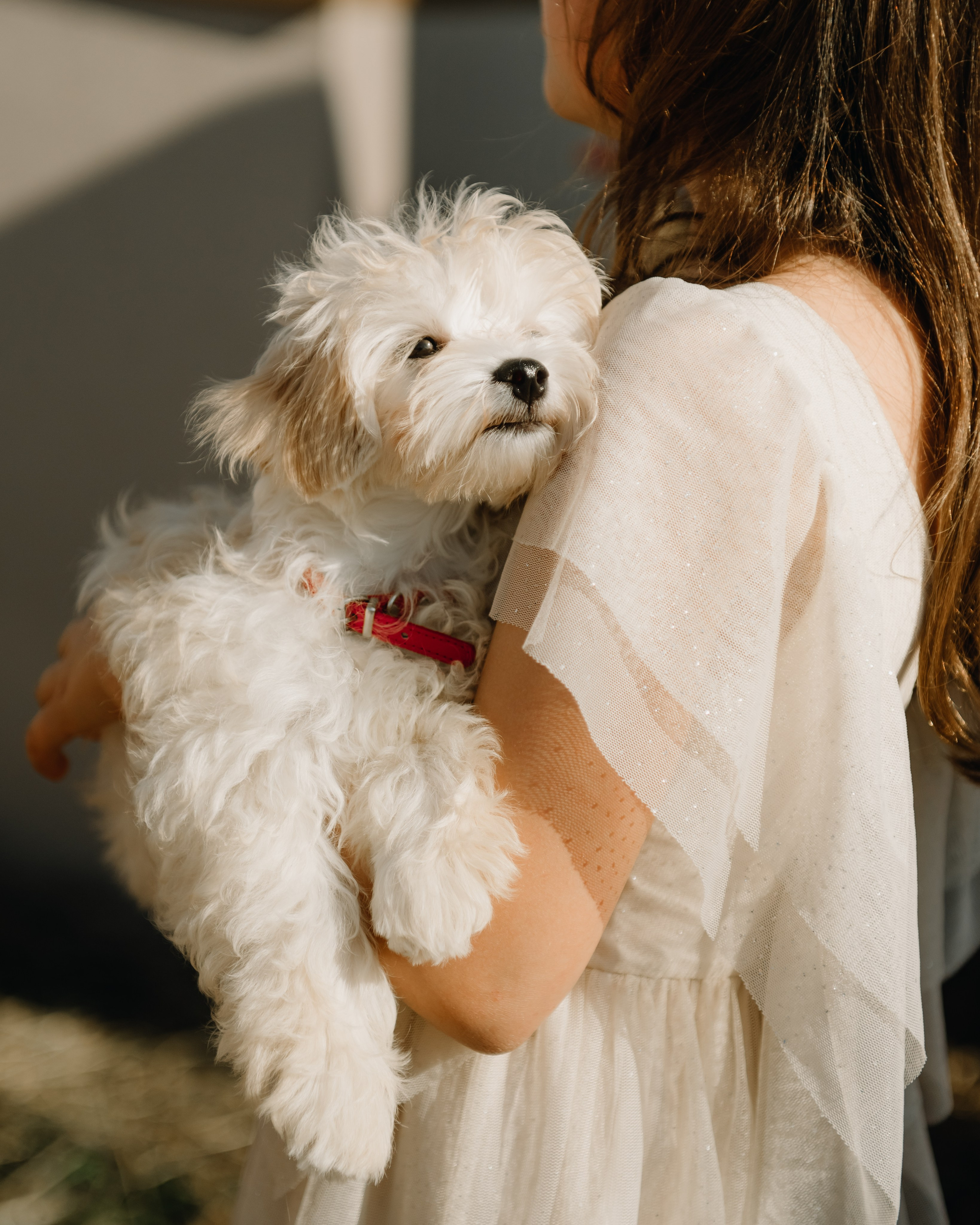 Семейный День. Главная