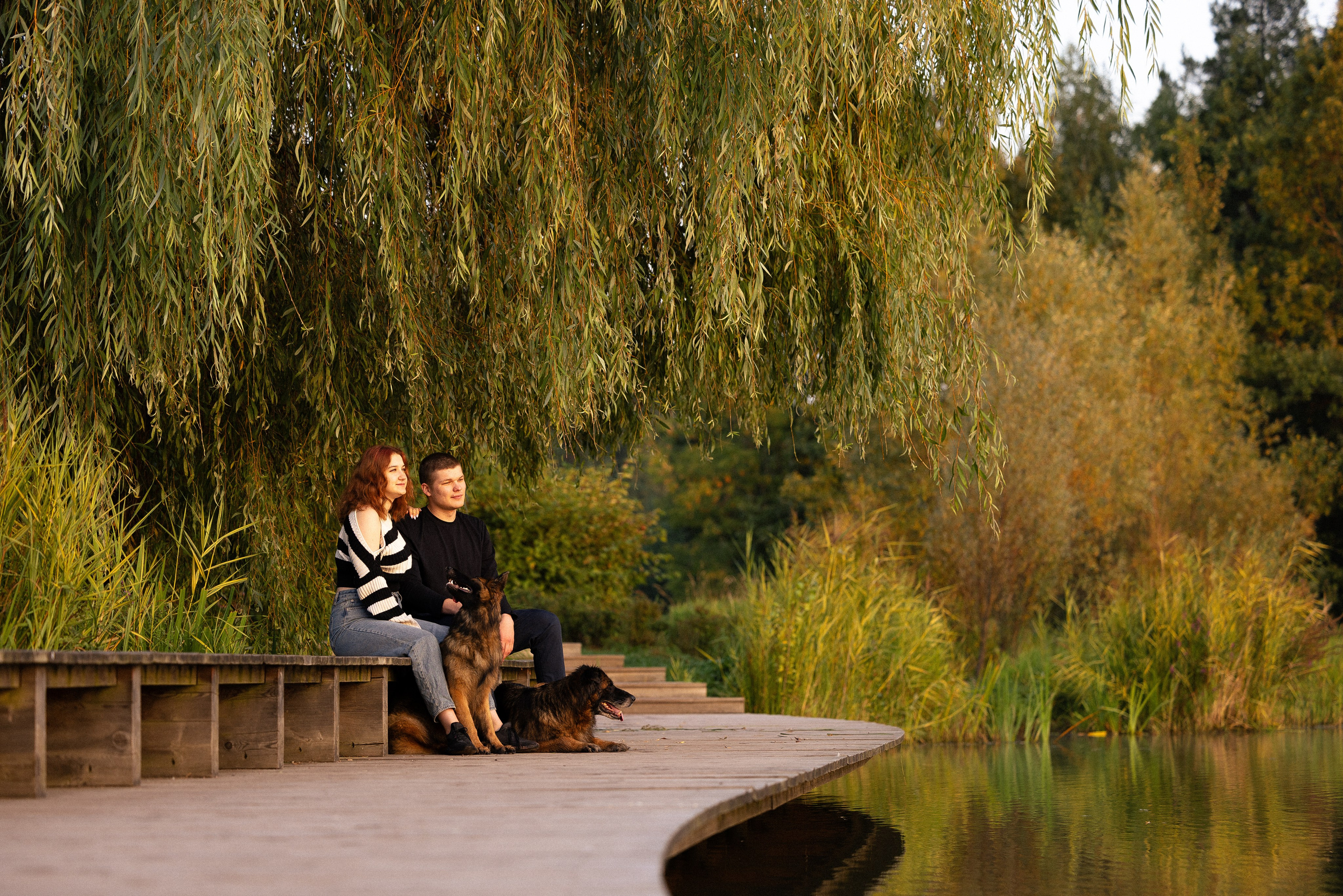 Алена, Матвей, Фанни и Фрея. Фотограф и видеограф анималист Аганина Дарья