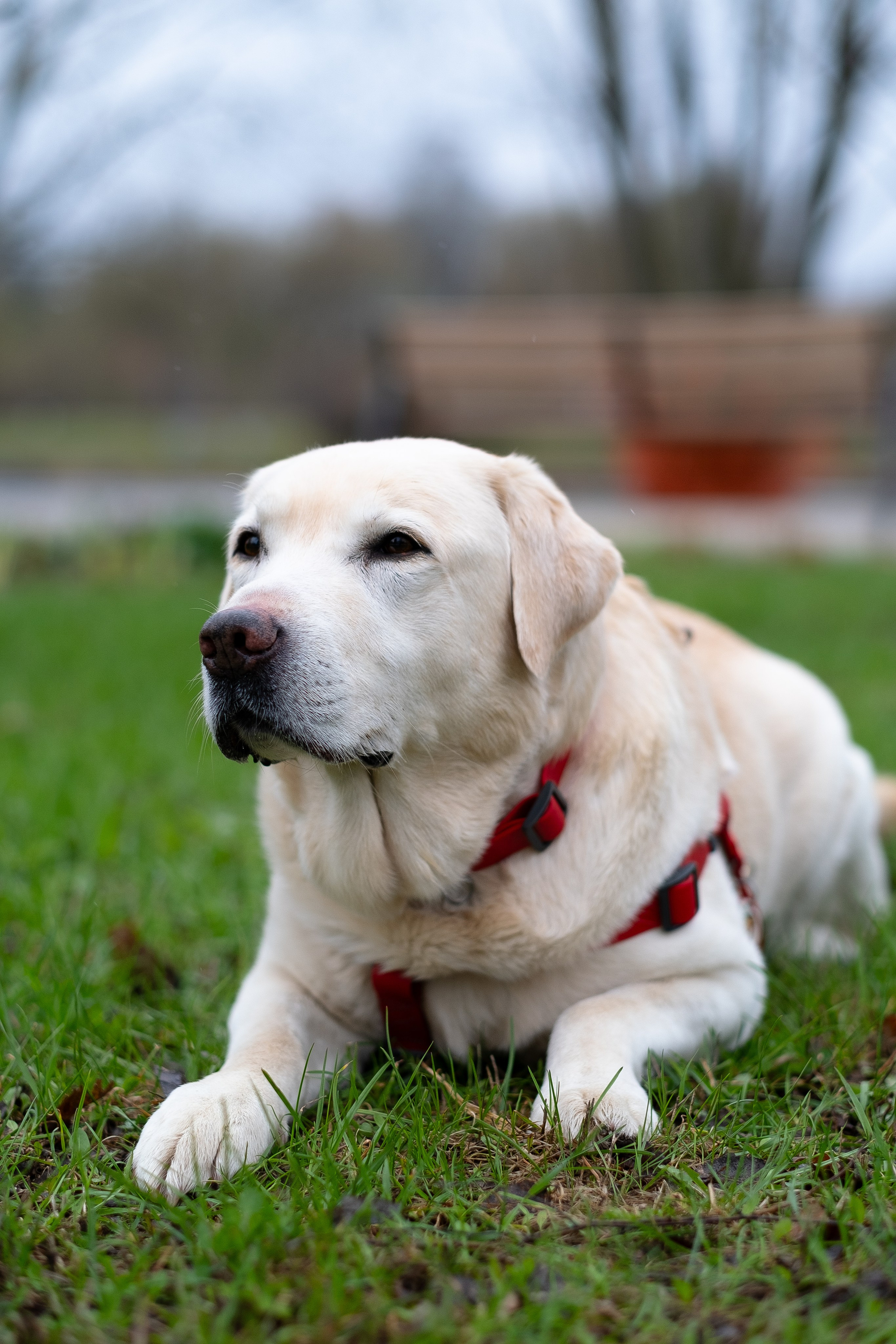 Света и Лето. Фотограф и видеограф анималист Аганина Дарья