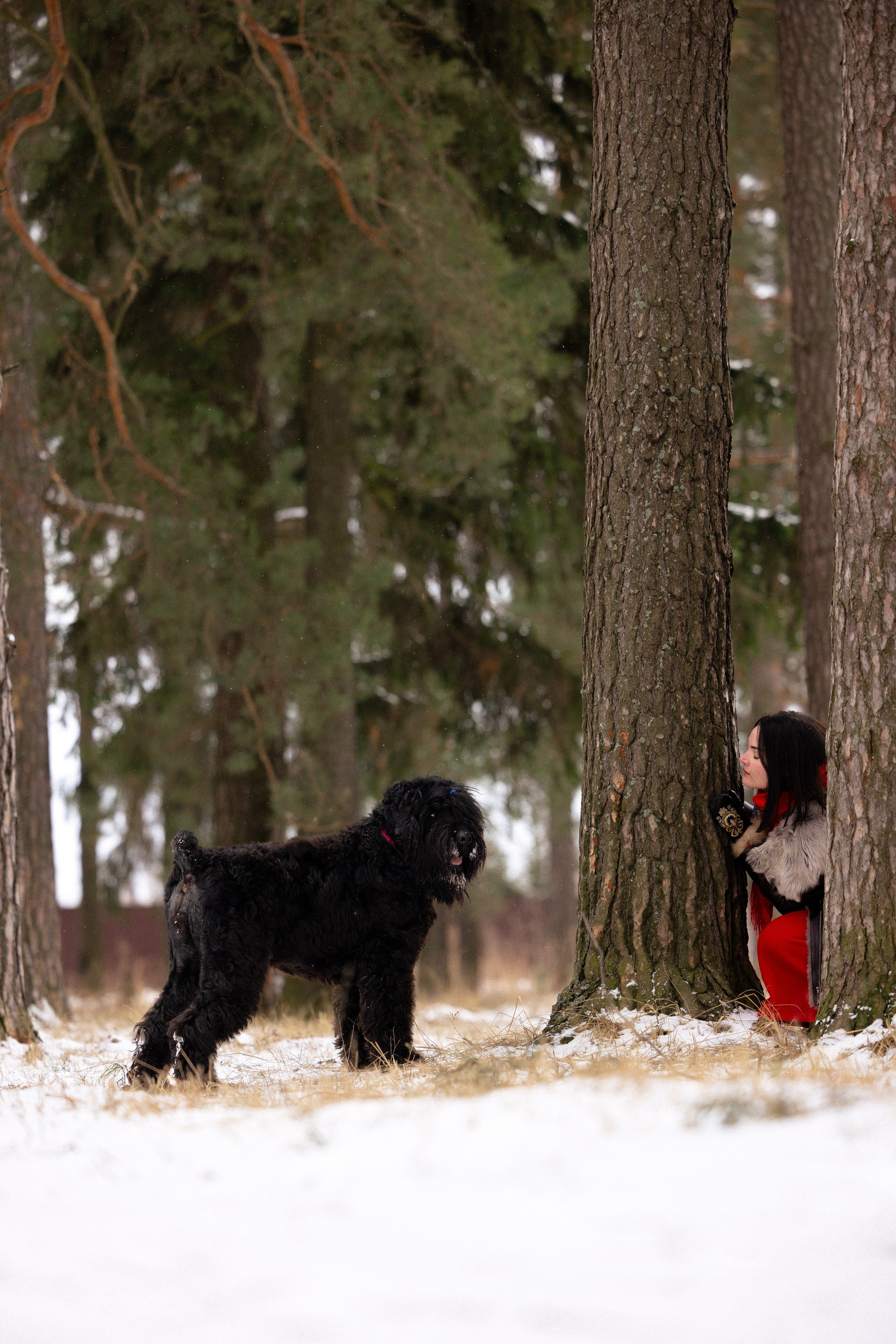Анастасия и Ирга. Фотограф и видеограф анималист Аганина Дарья